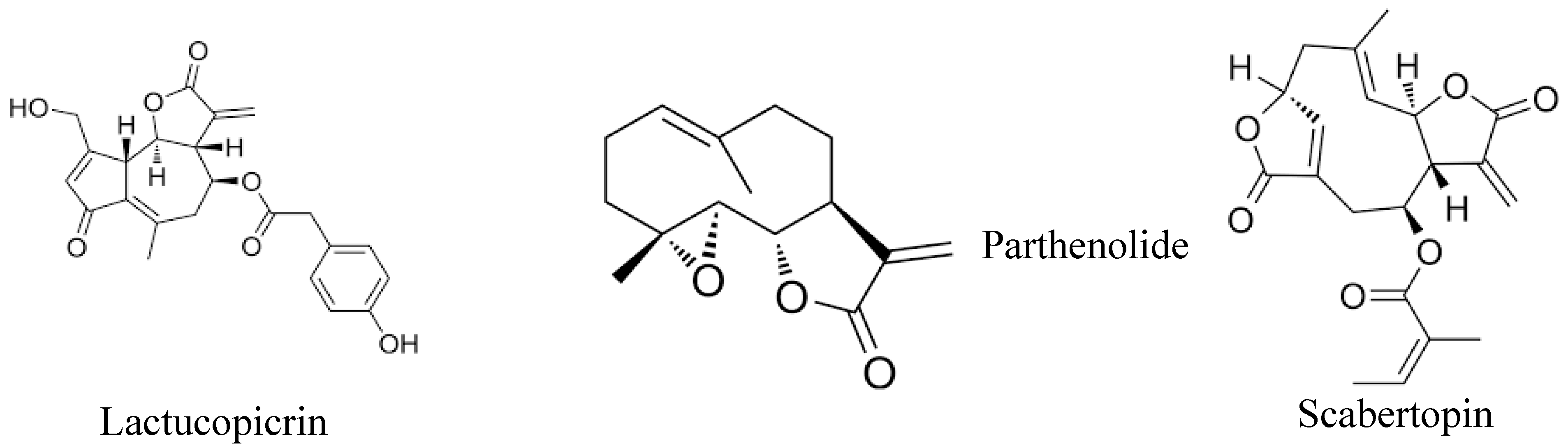 Preprints 147028 g002b
