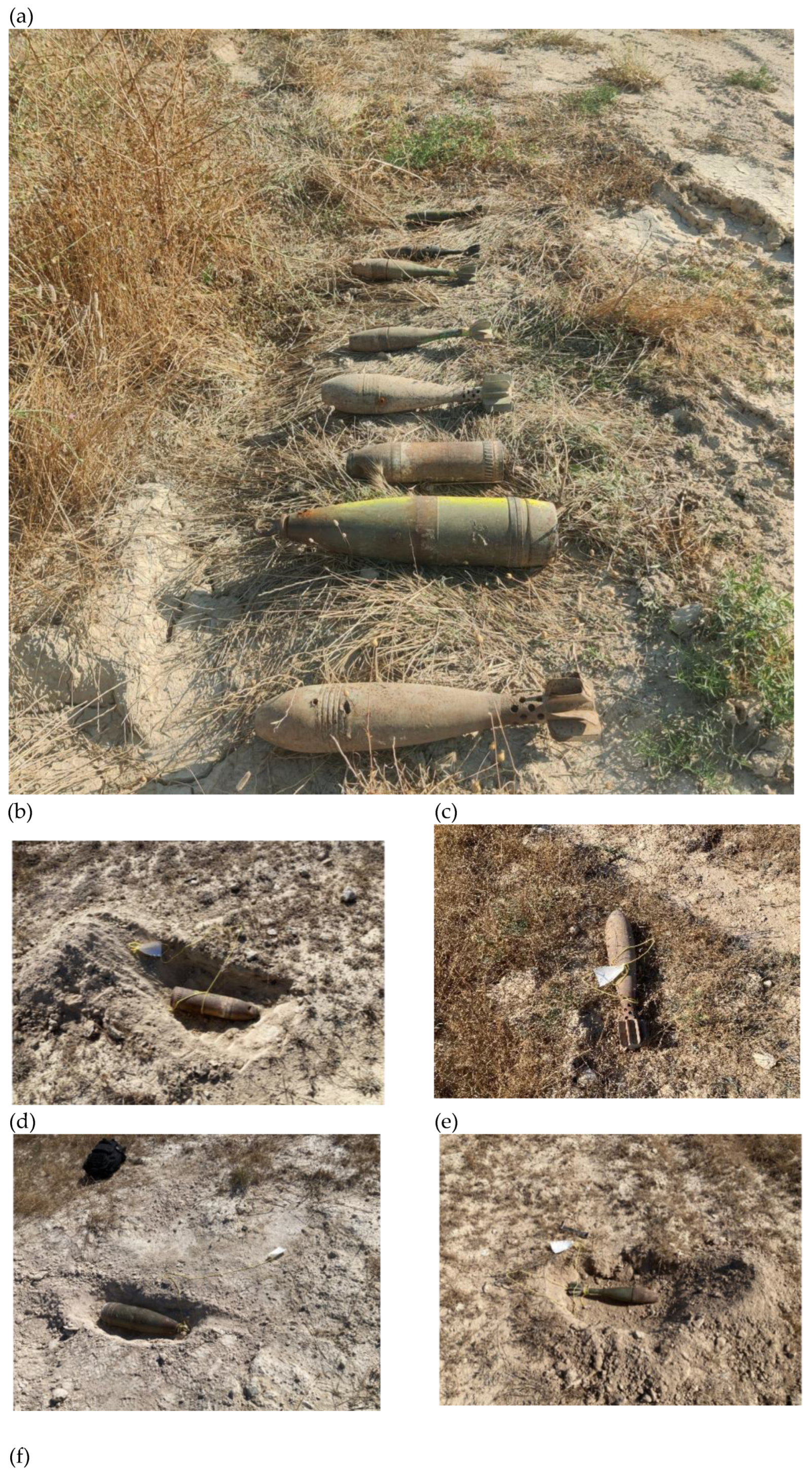 Preprints 188187 g003a