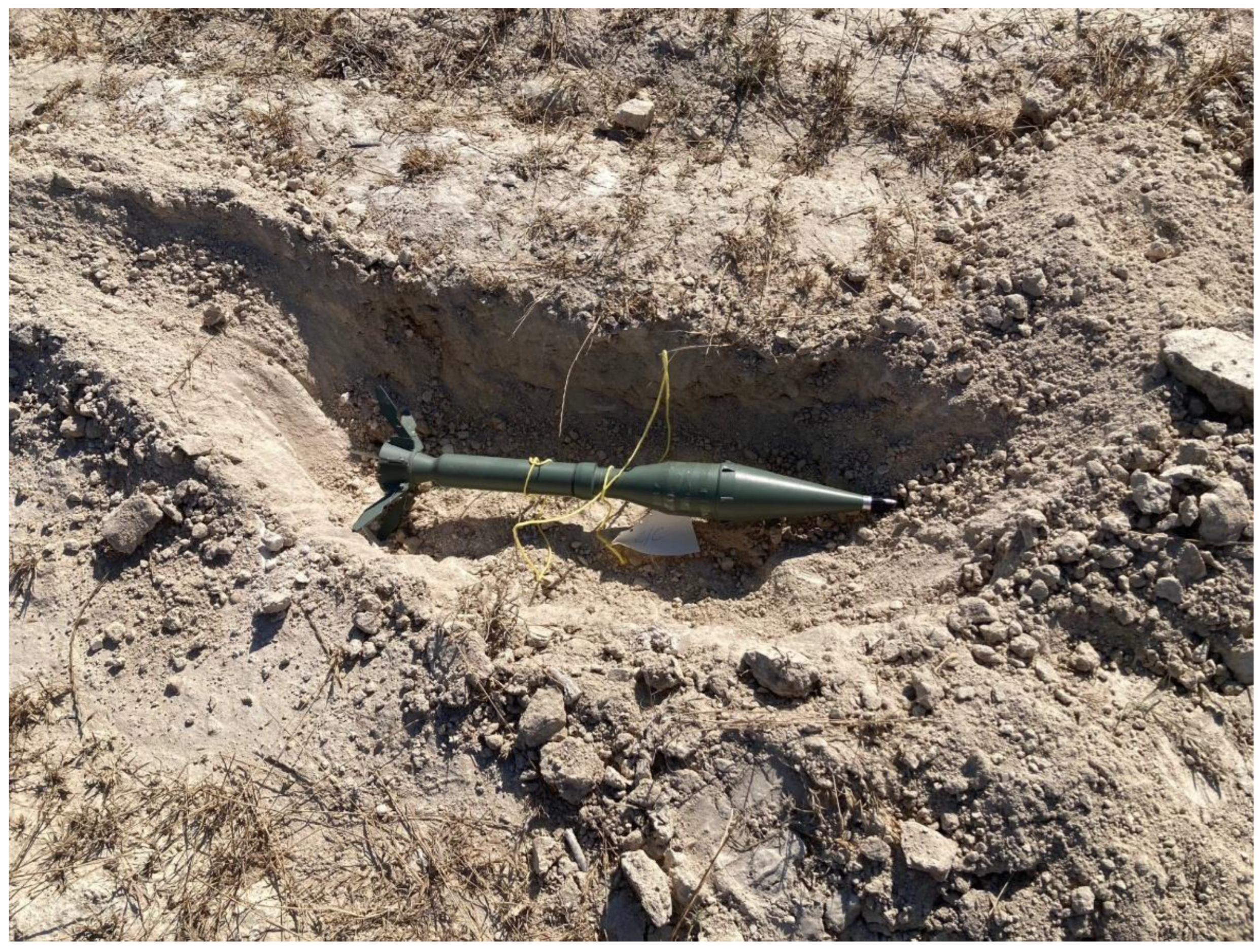 Preprints 188187 g003b