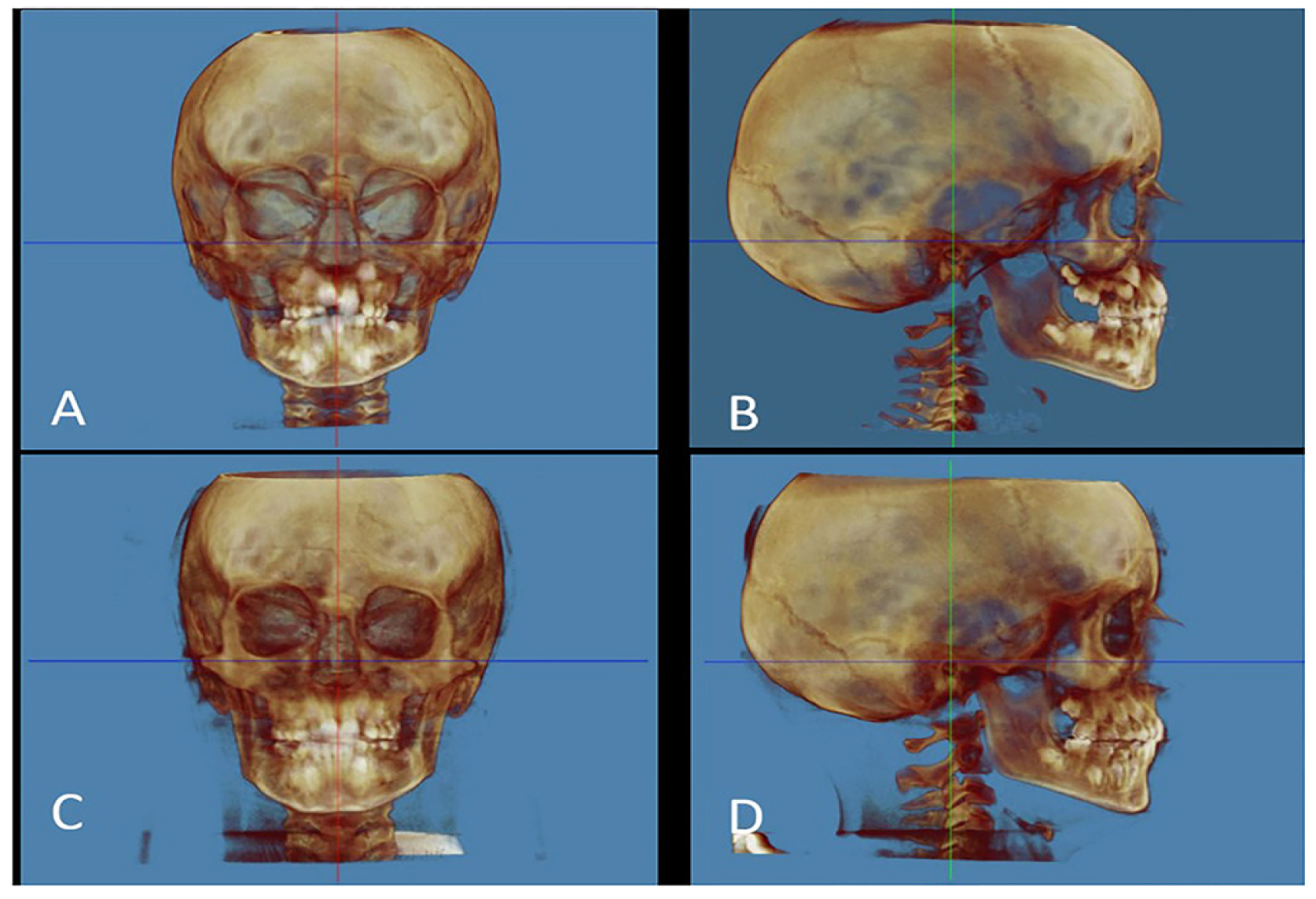 Preprints 115049 g001