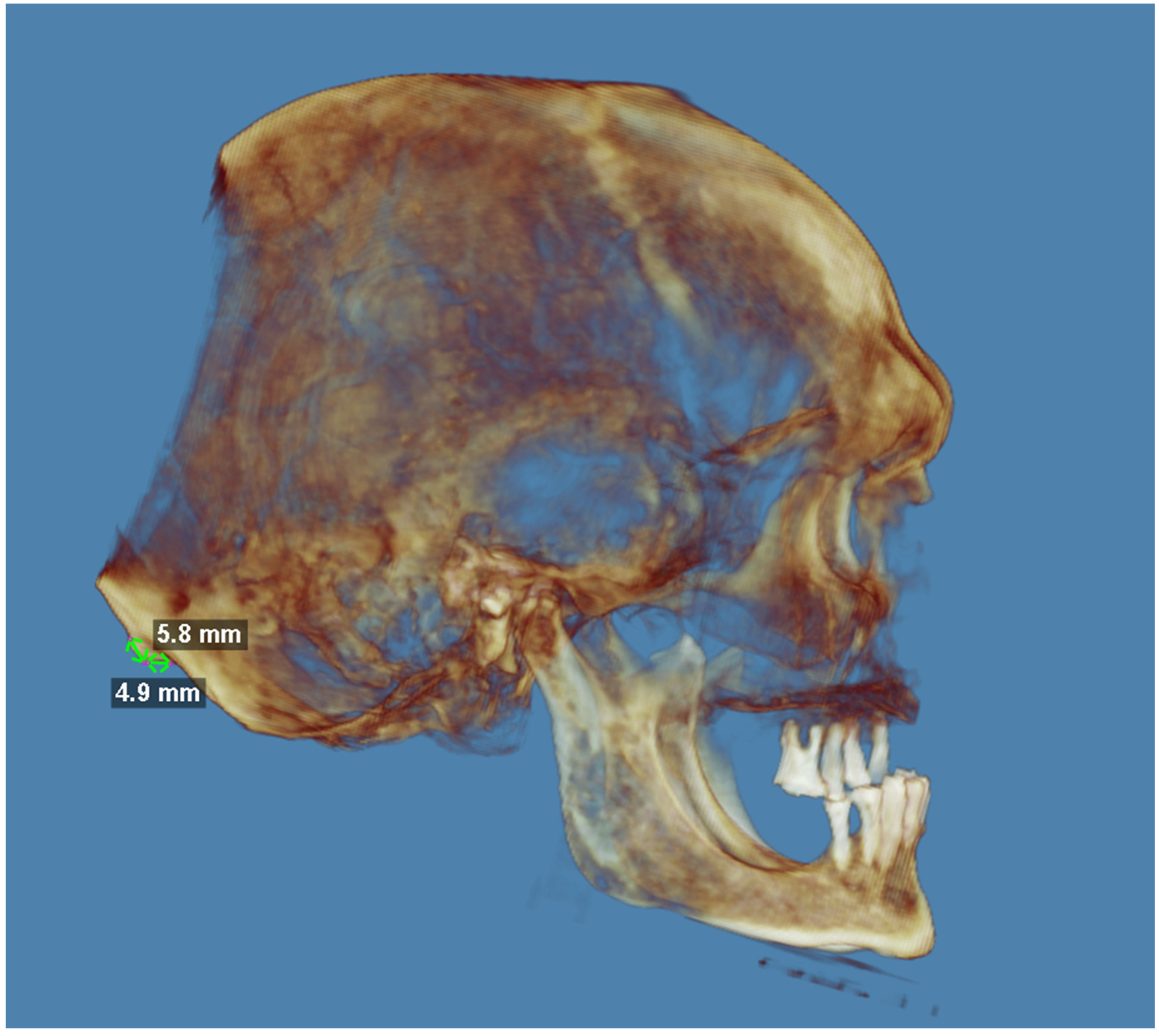 Preprints 115049 g002