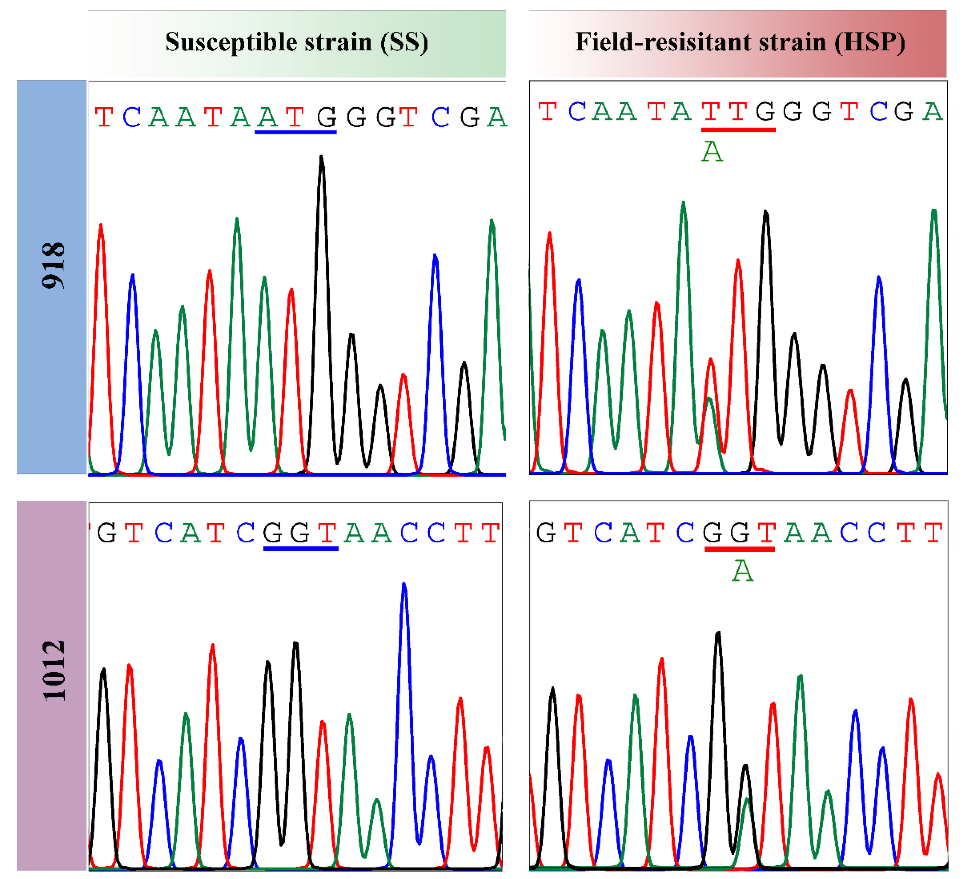 Preprints 191289 g006