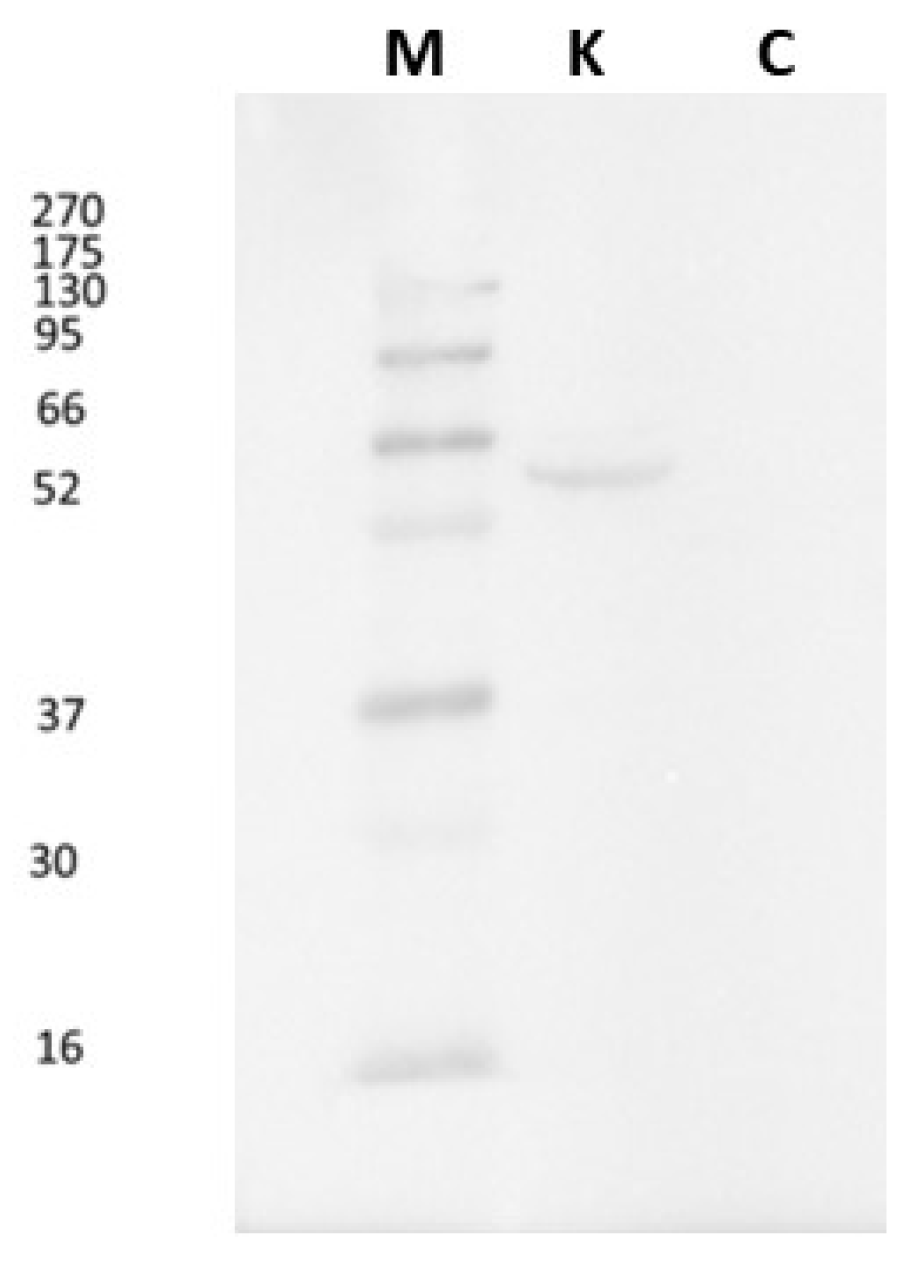 Preprints 159521 g001