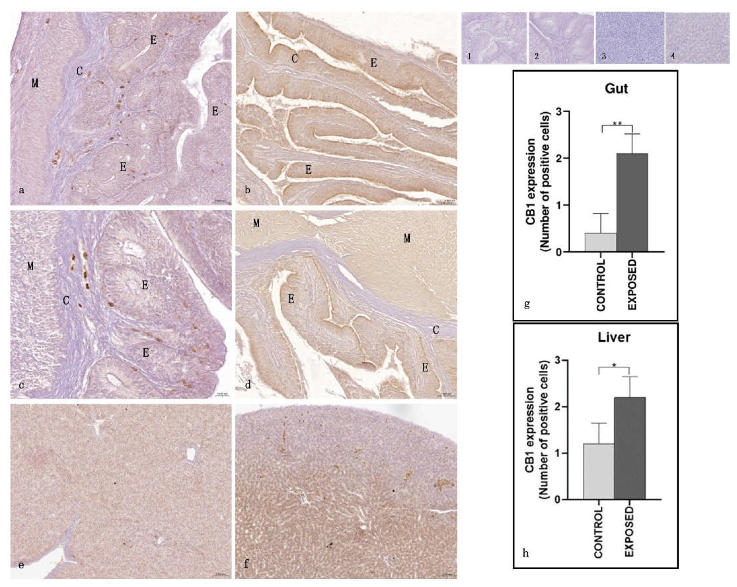 Preprints 159521 g002