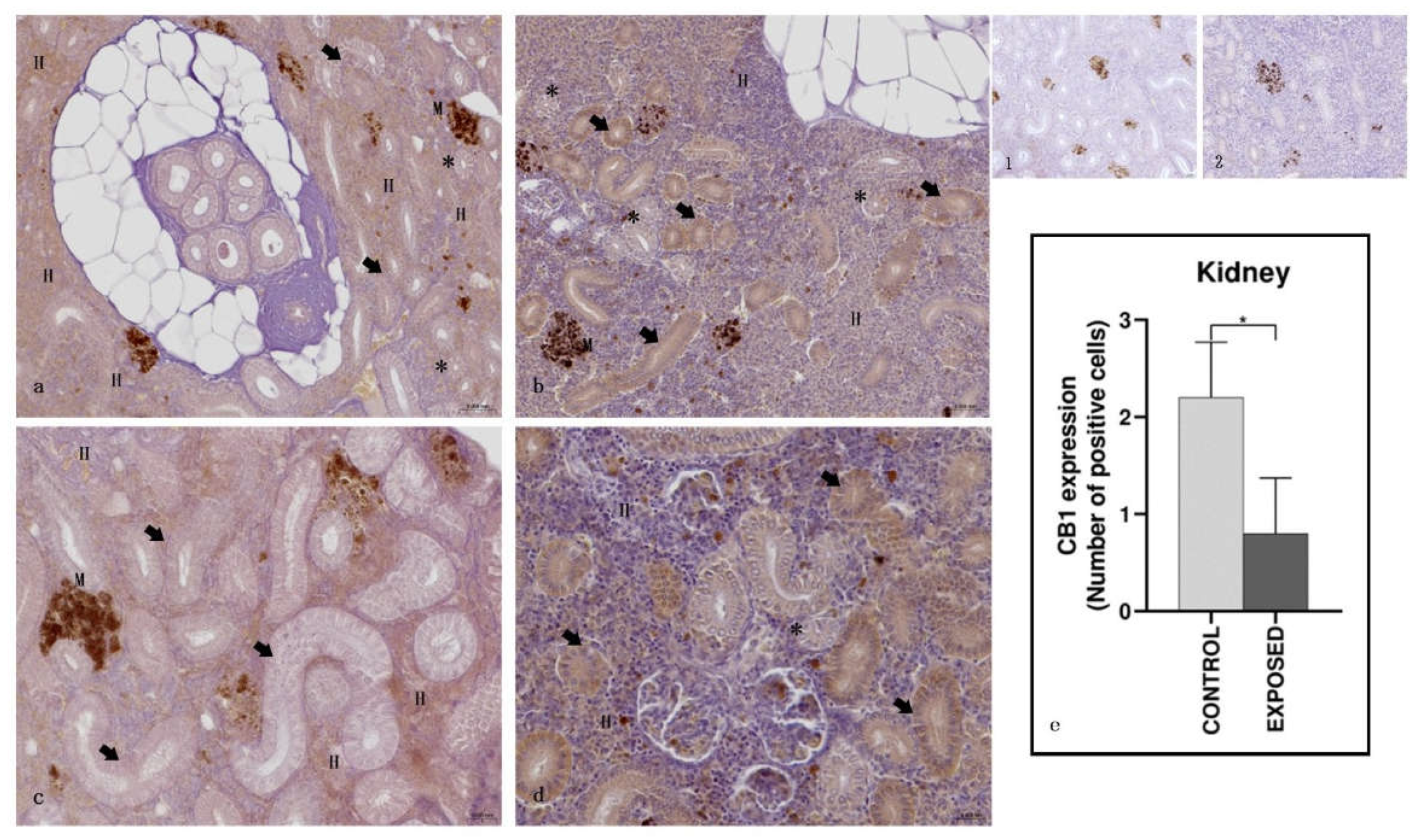 Preprints 159521 g003
