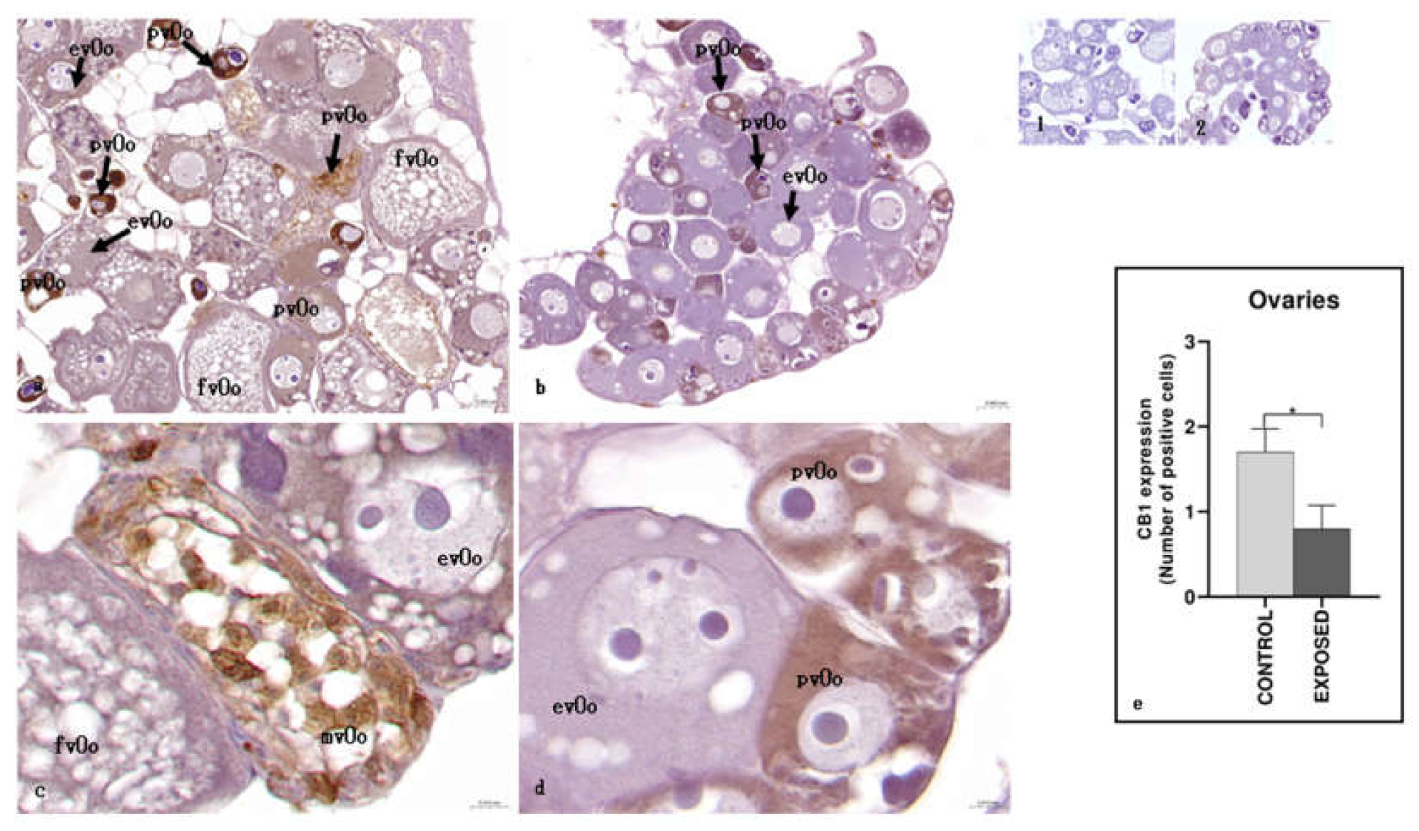 Preprints 159521 g004