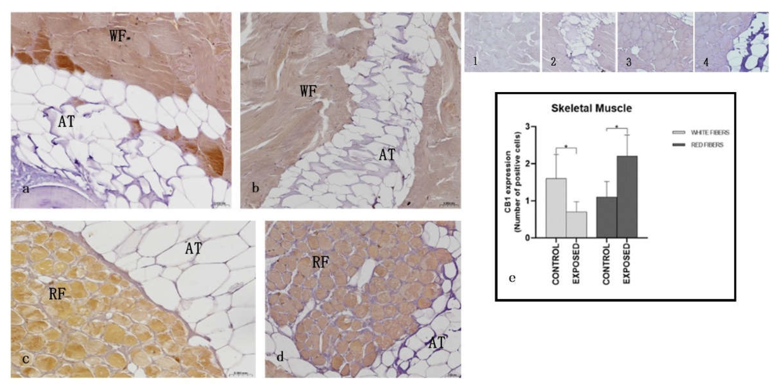 Preprints 159521 g005