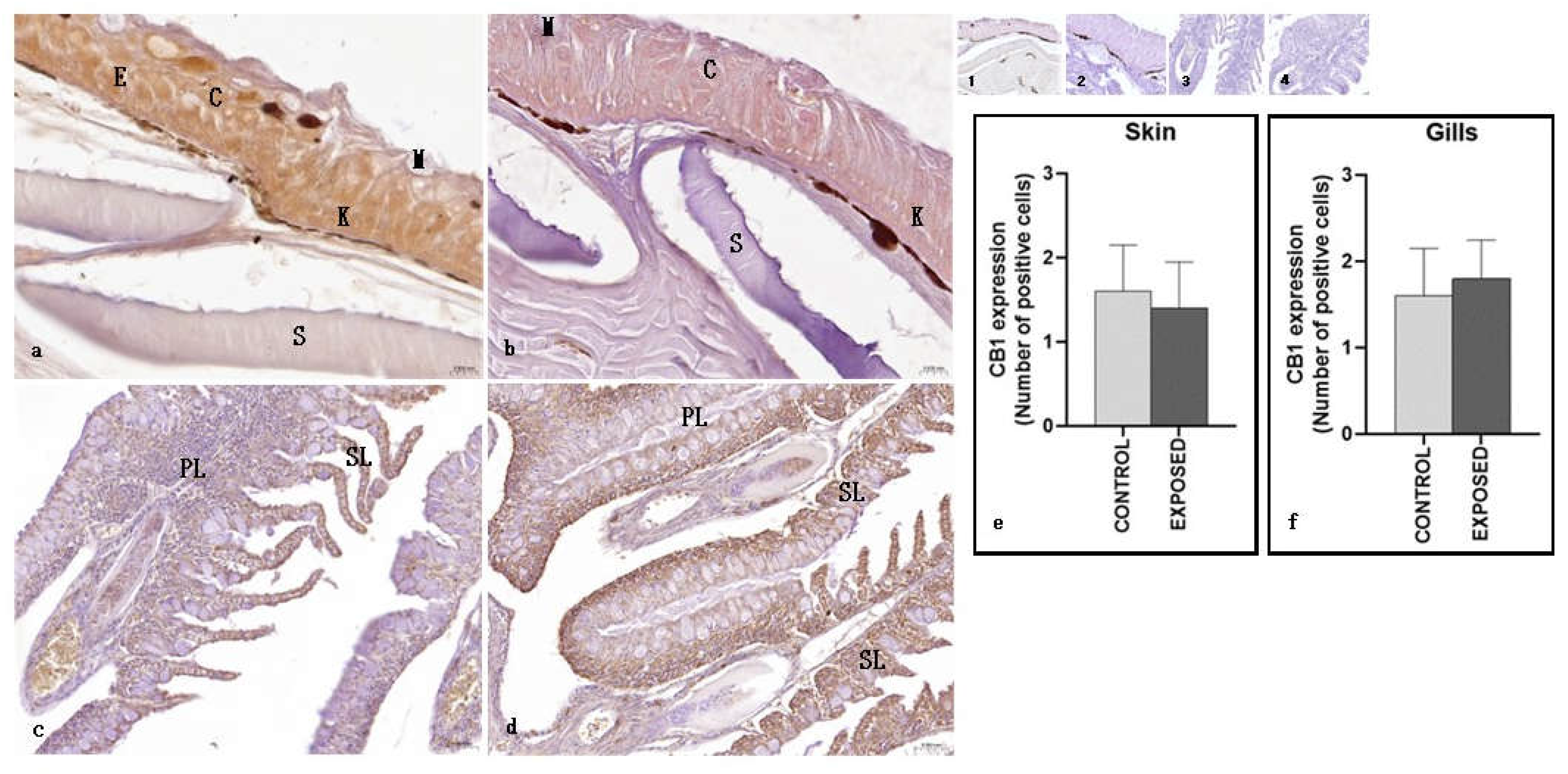Preprints 159521 g006