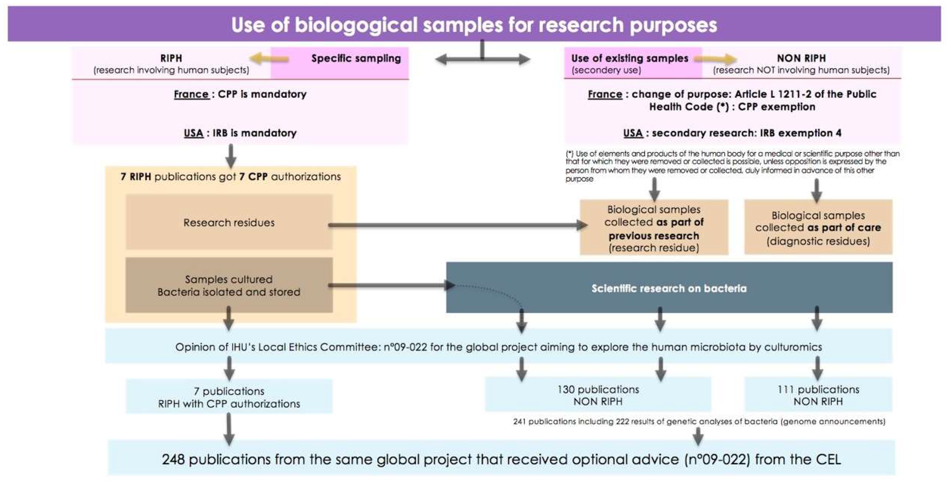 Preprints 140593 g001