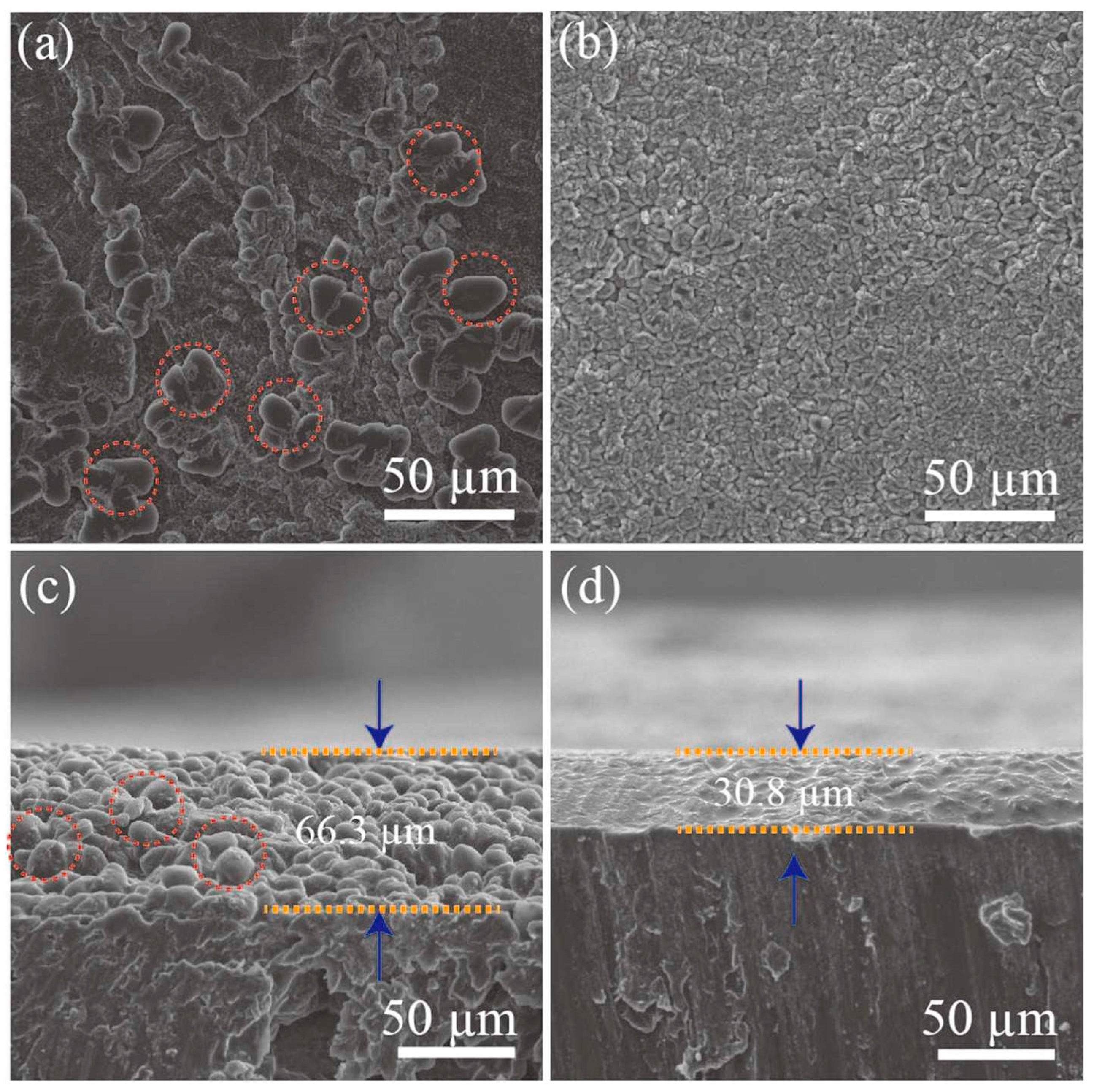 Preprints 85458 g003