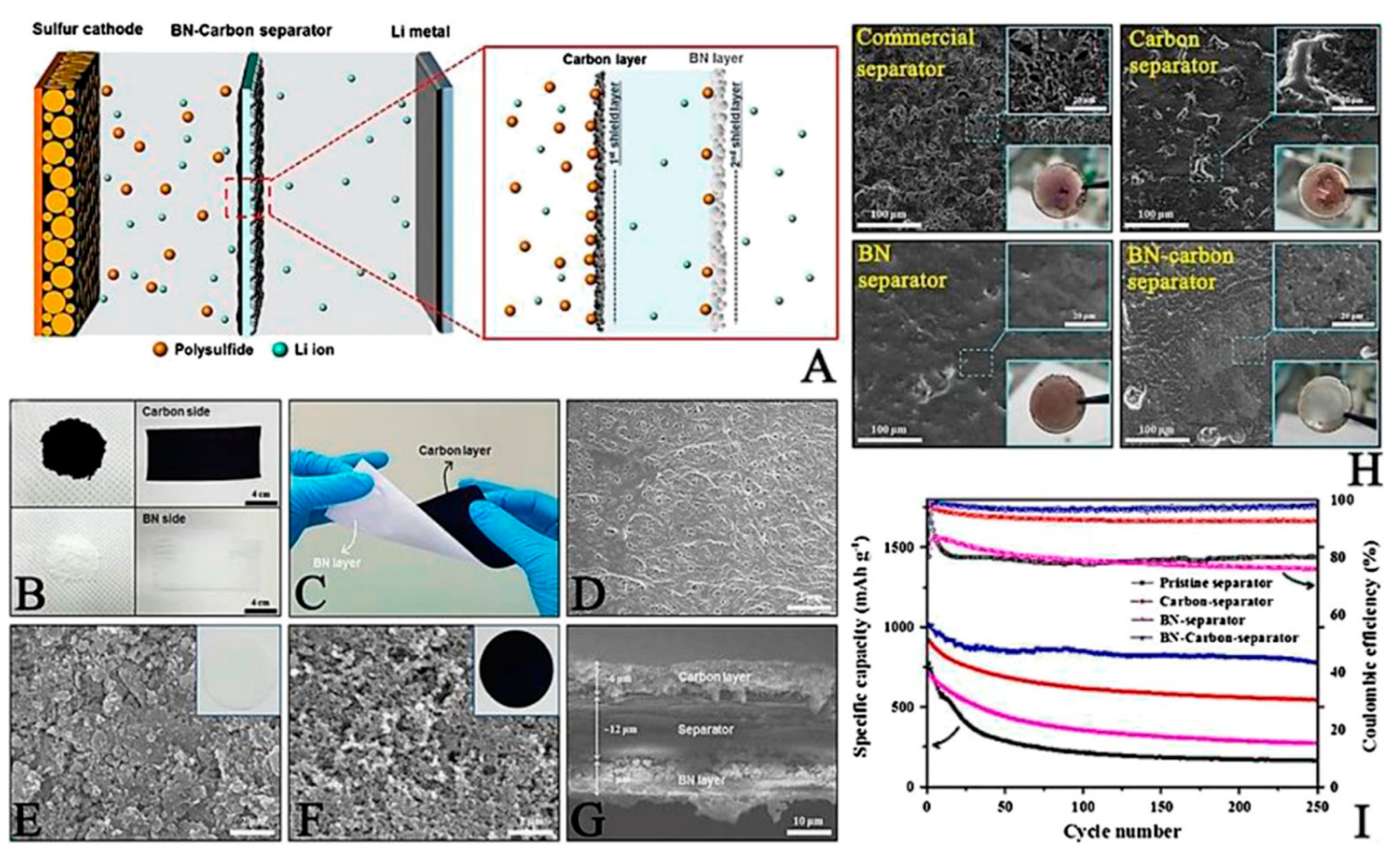 Preprints 85458 g004
