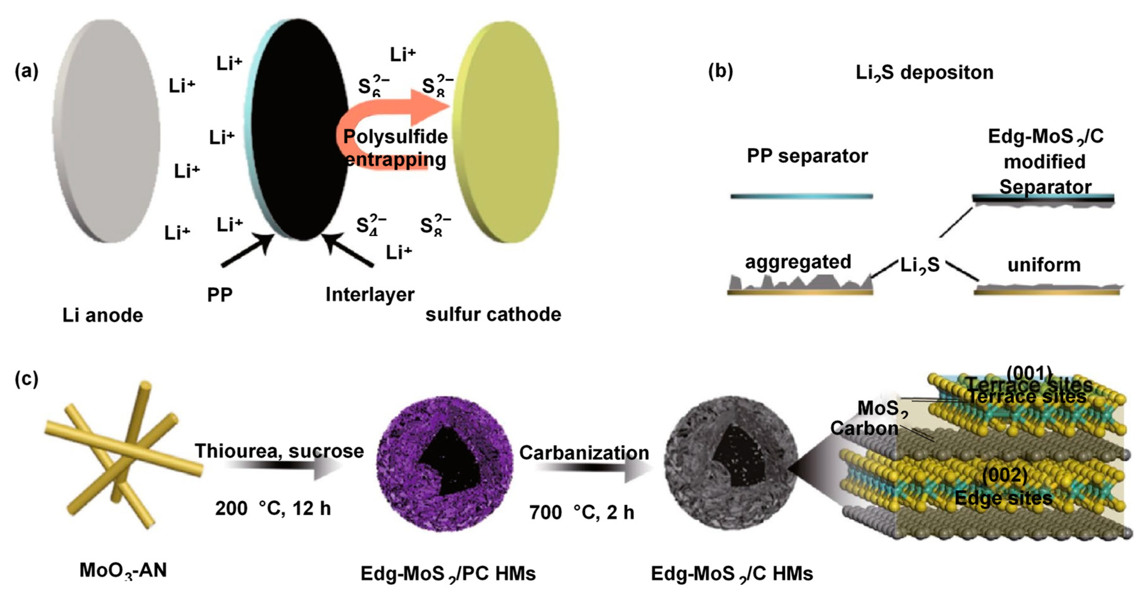Preprints 85458 g010