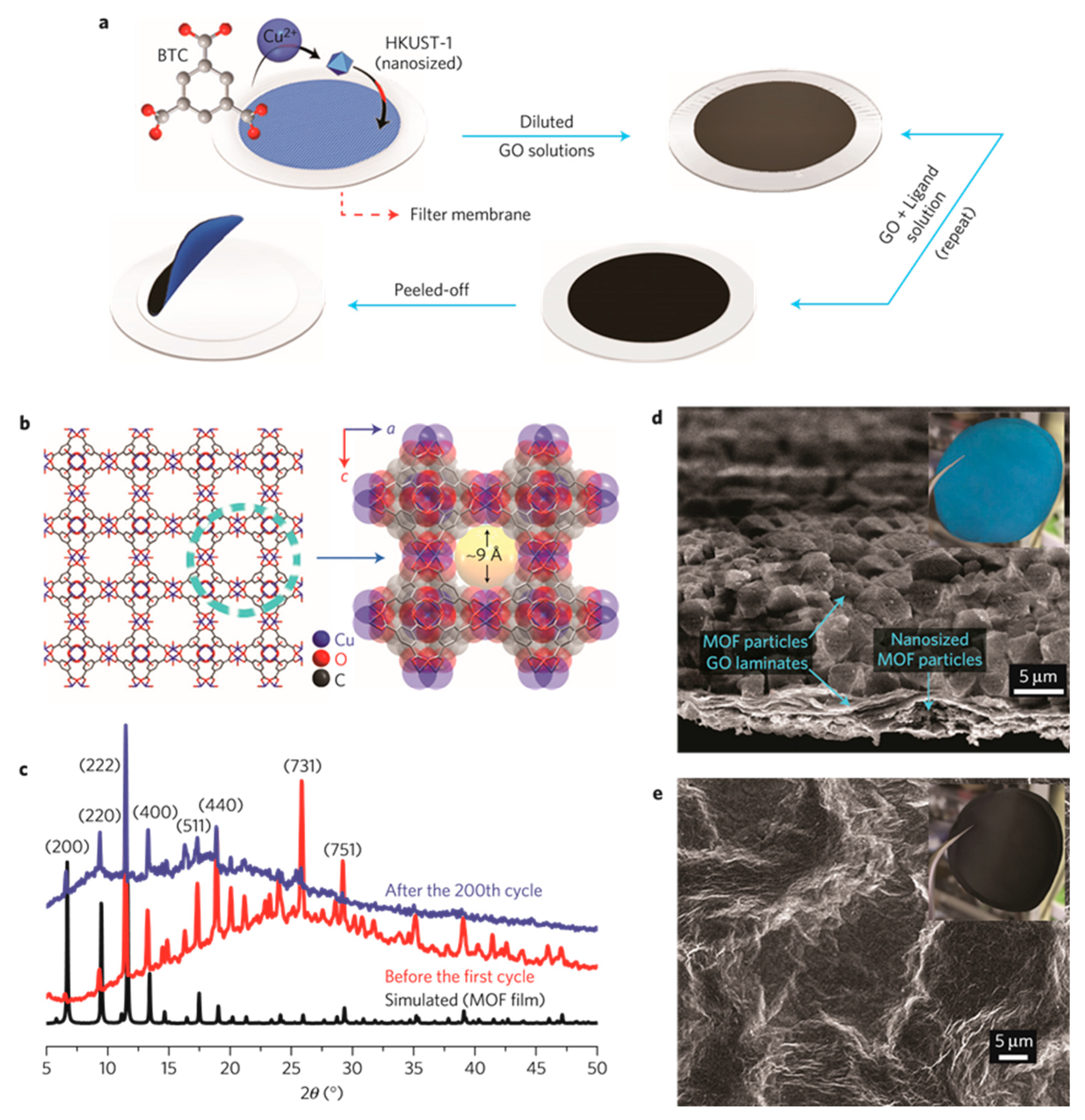 Preprints 85458 g014