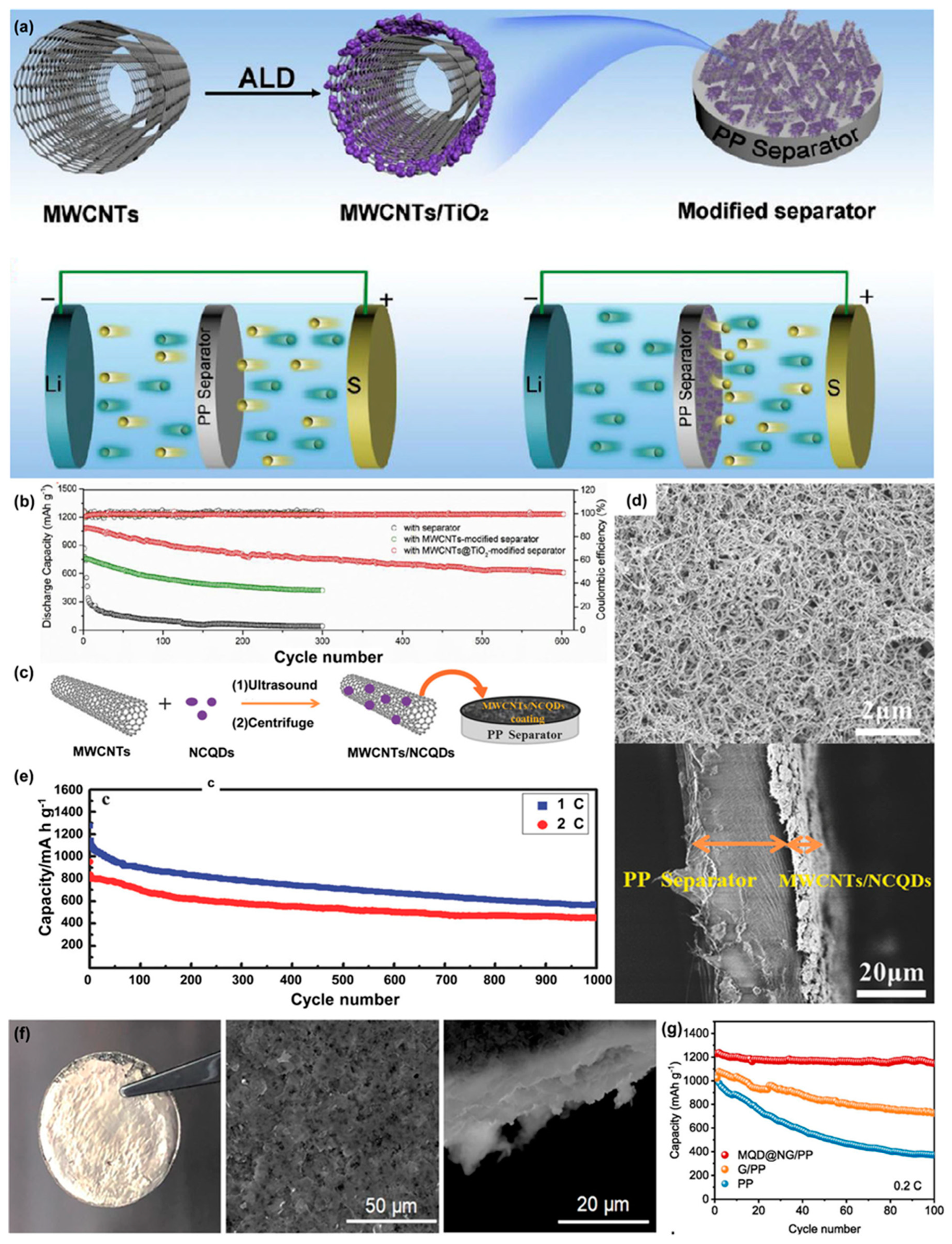 Preprints 85458 g015