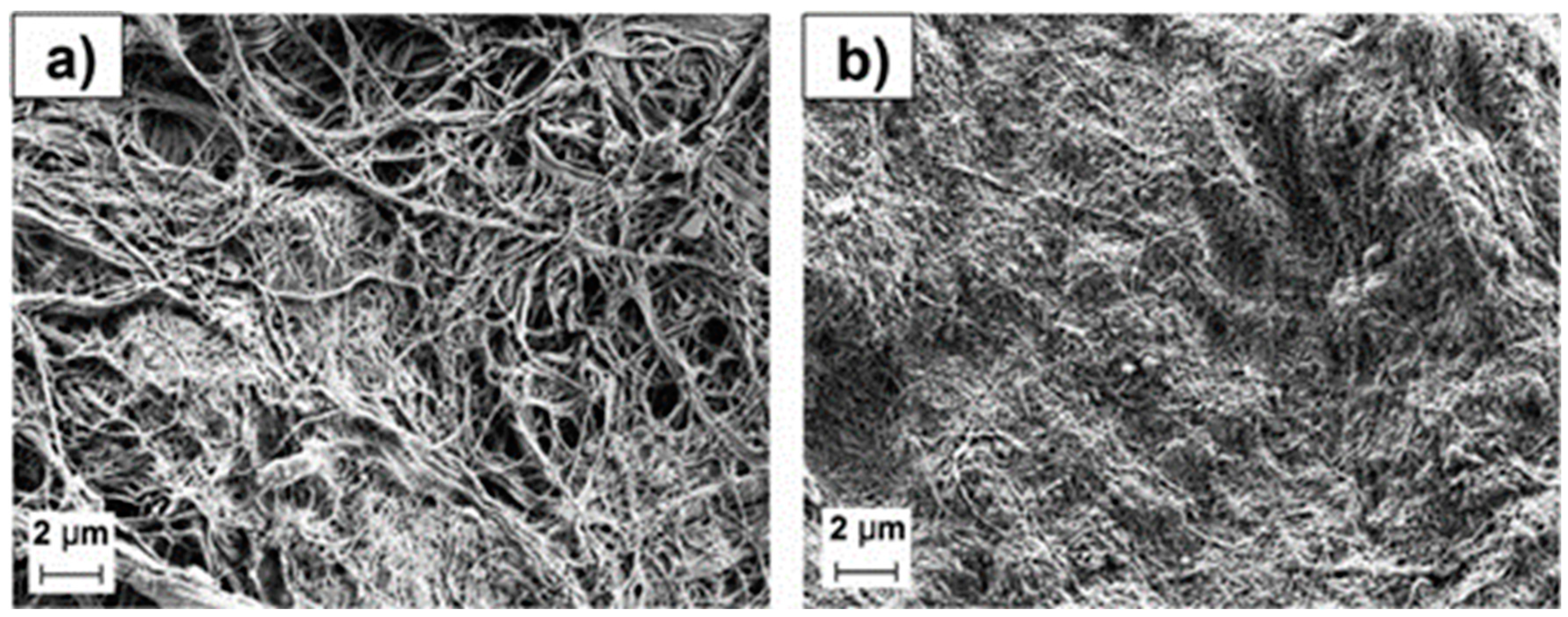 Preprints 85458 g017