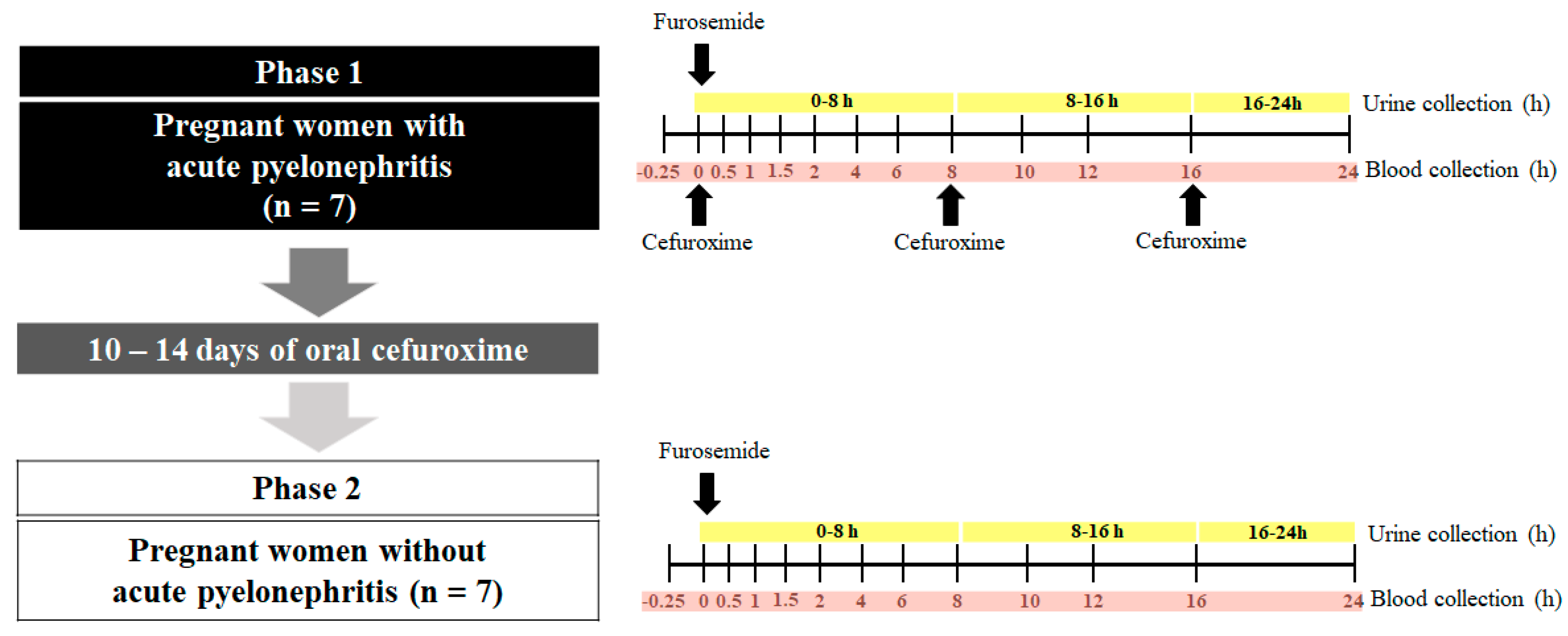 Preprints 83638 g001