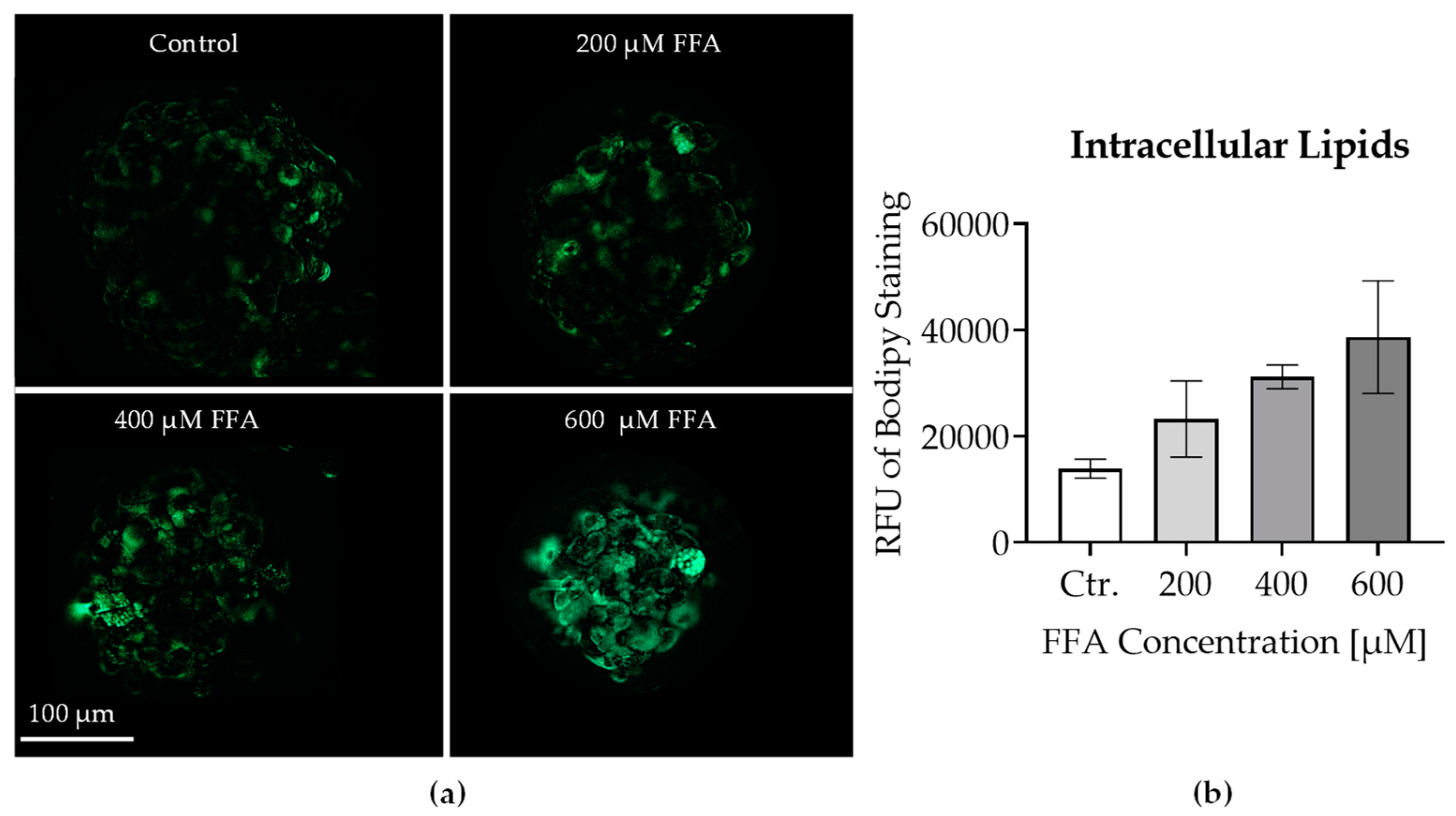 Preprints 144547 g003