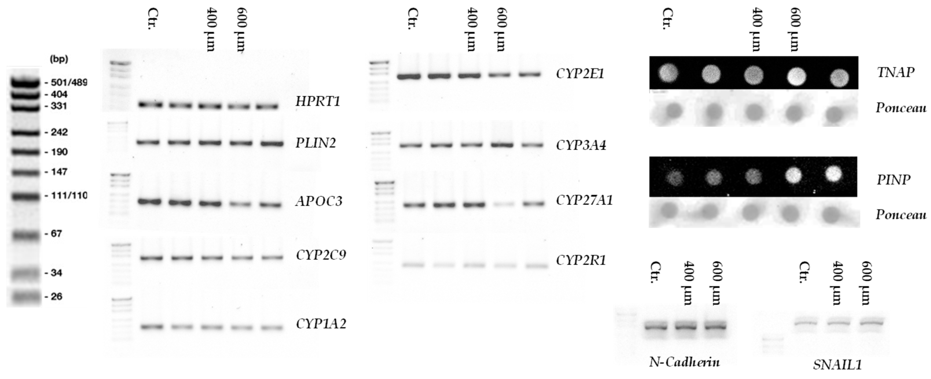 Preprints 144547 g0a1