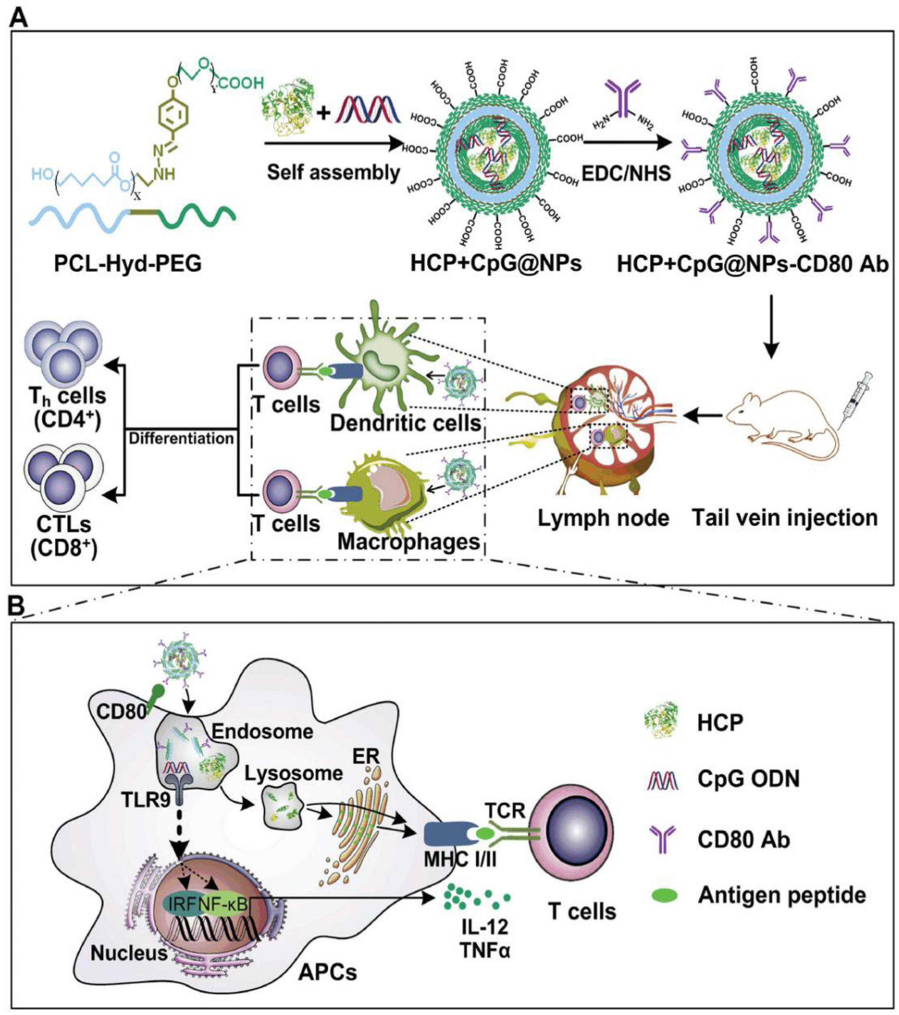 Preprints 97927 g001