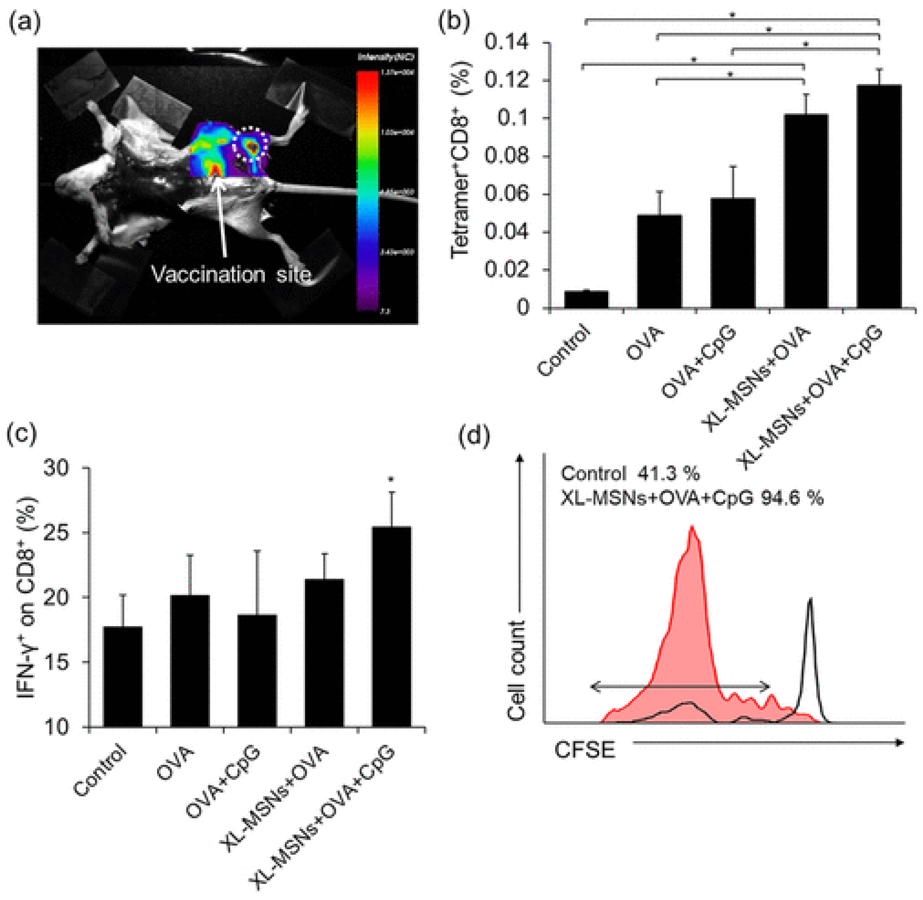 Preprints 97927 g002