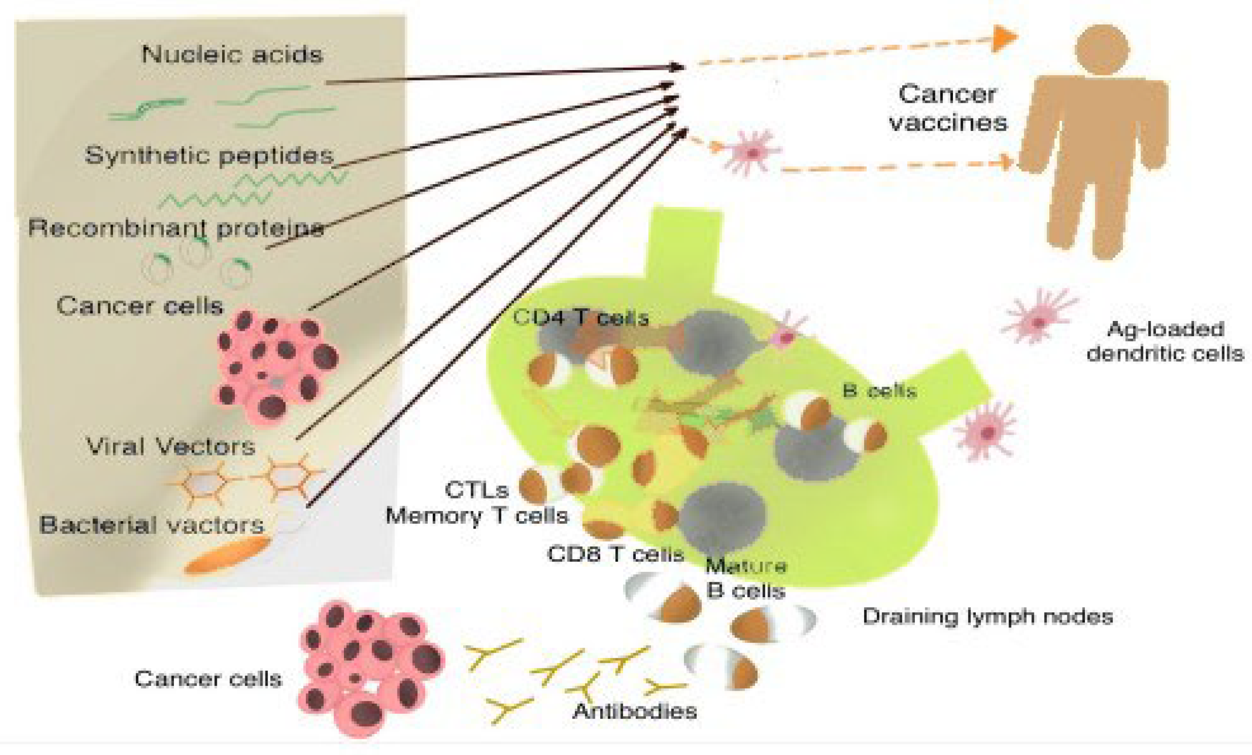 Preprints 97927 g003