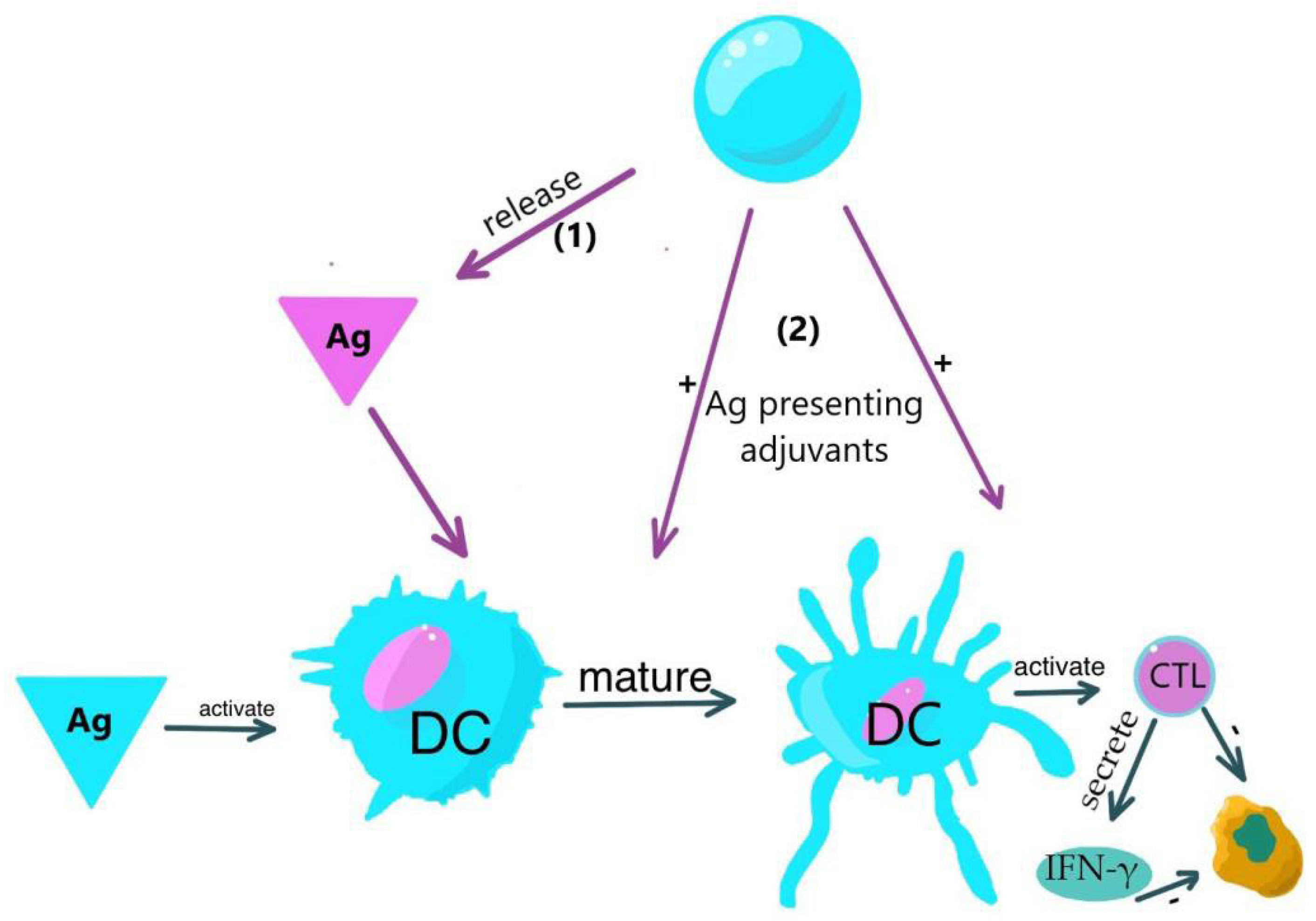 Preprints 97927 g004