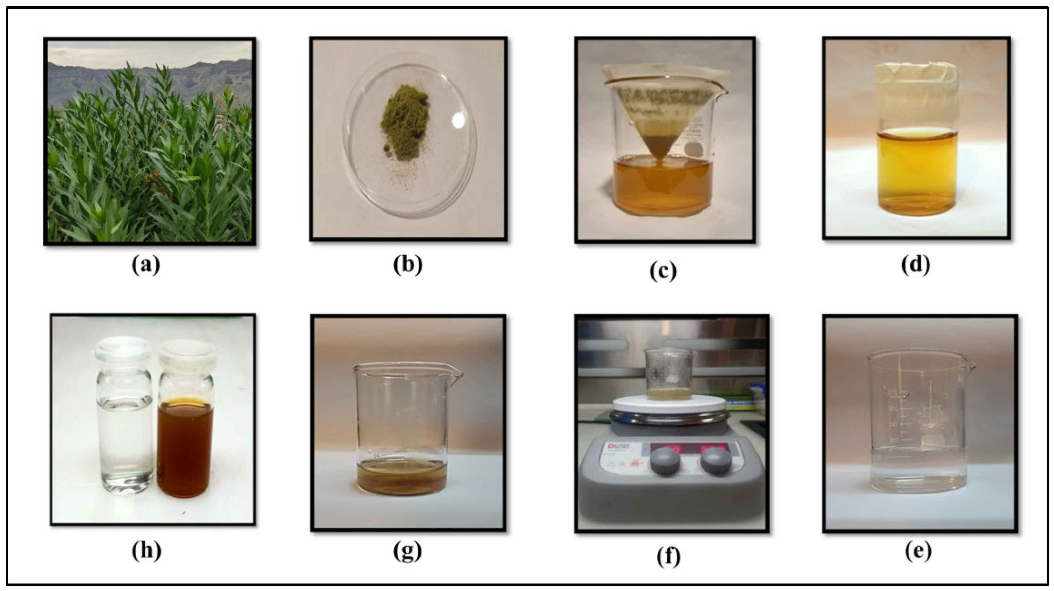 Preprints 179248 g001