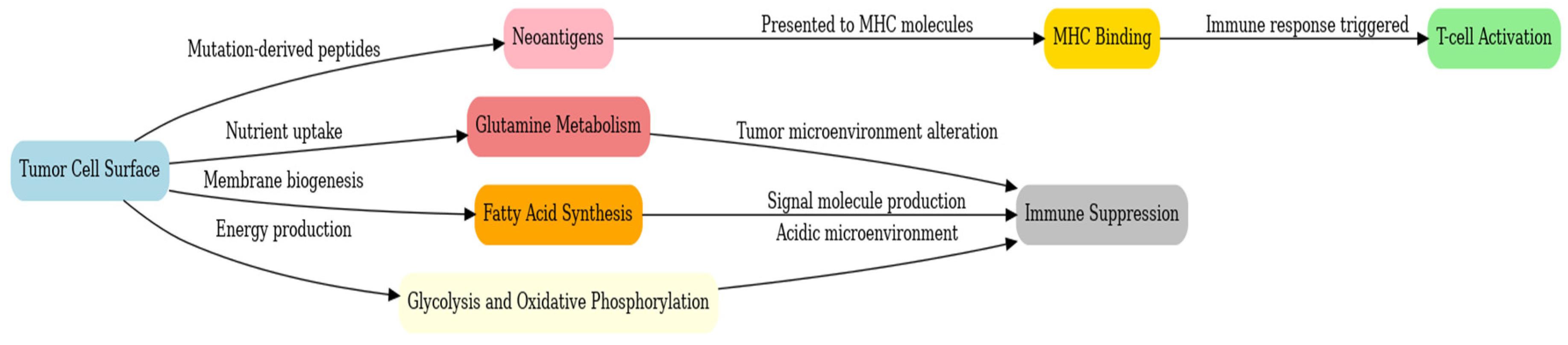 Preprints 141241 g006