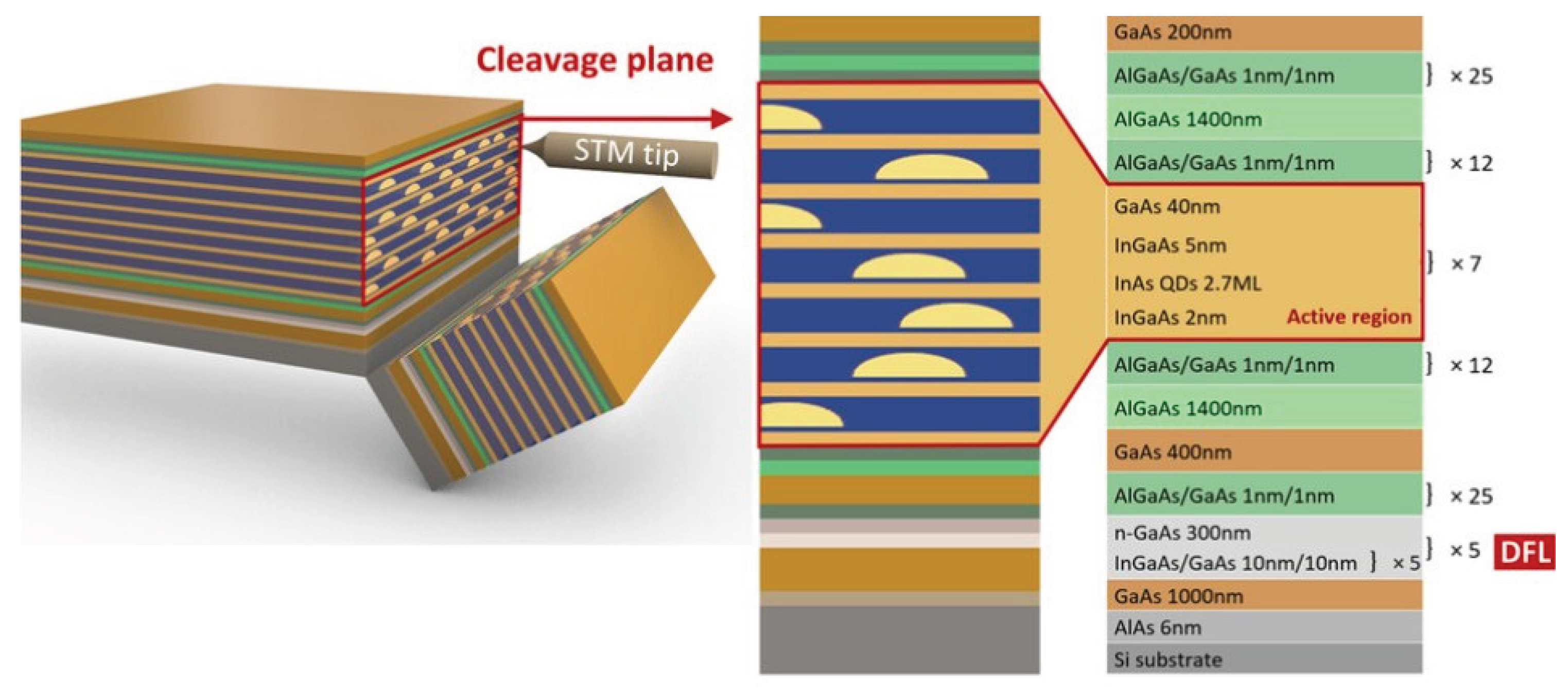 Preprints 195773 g005