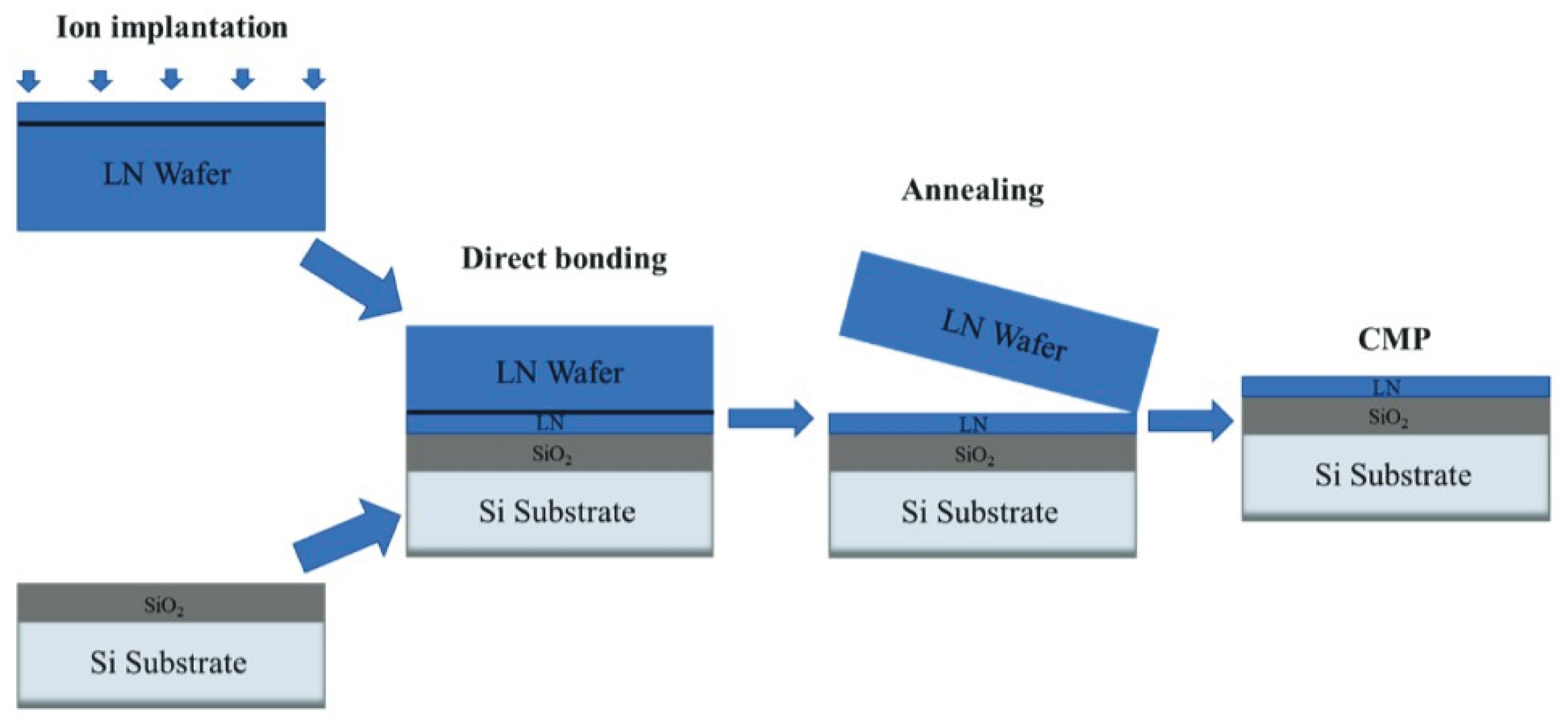 Preprints 195773 g008