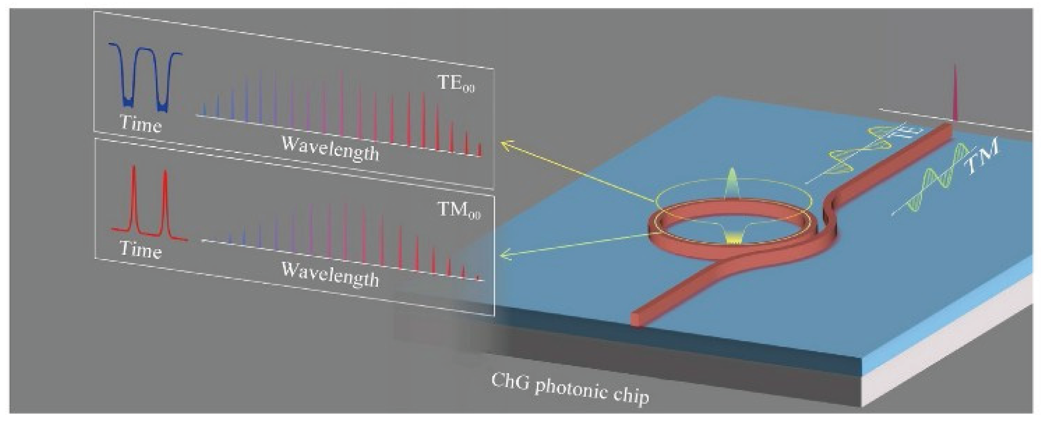 Preprints 195773 g010