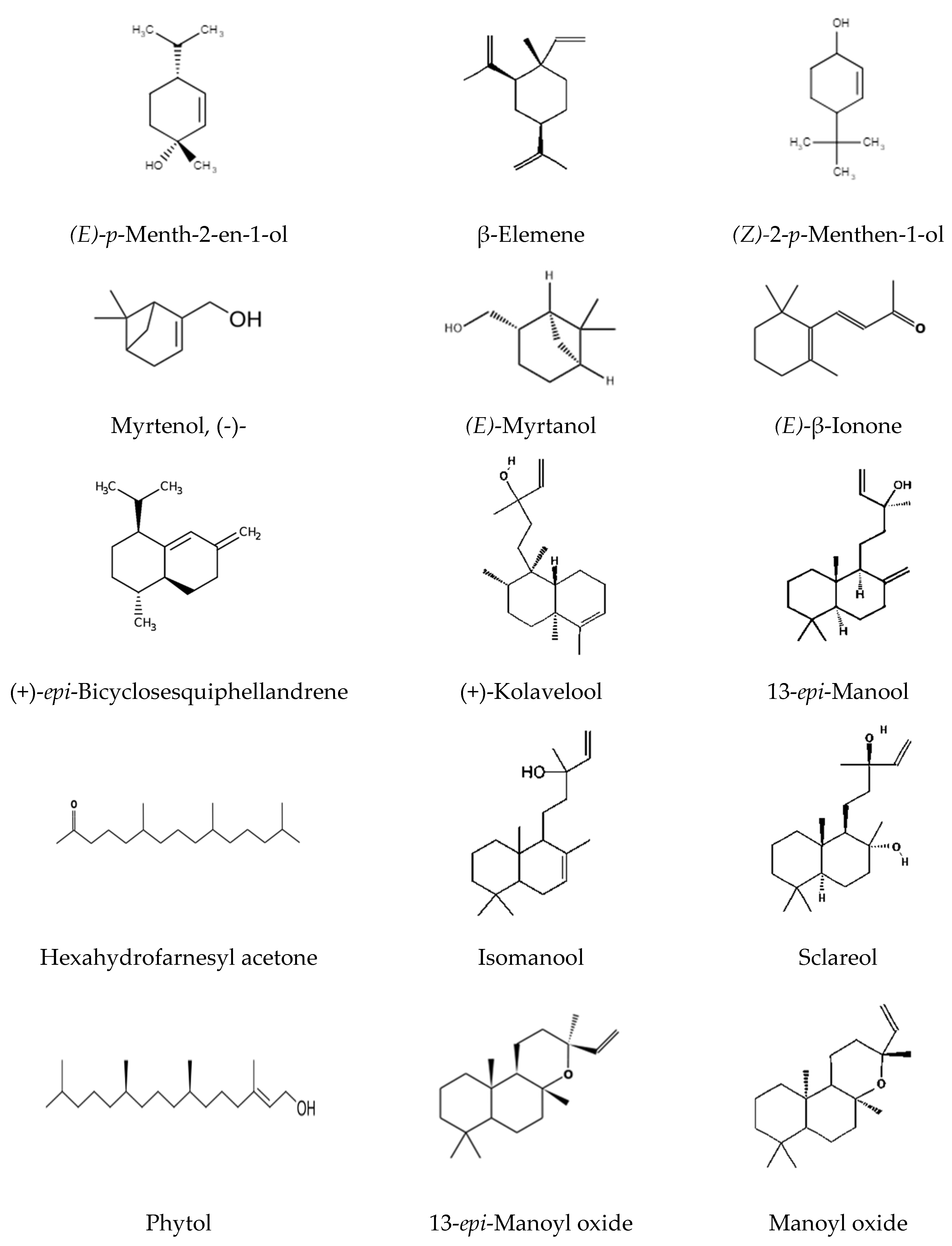 Preprints 147845 g004