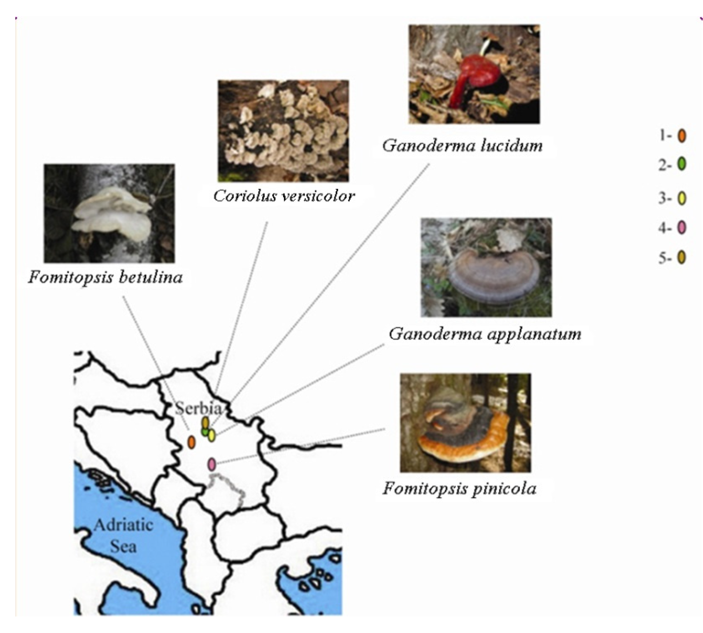 Preprints 91425 g006
