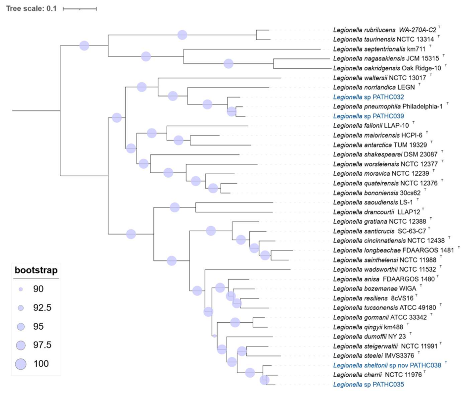 Preprints 215197 g004