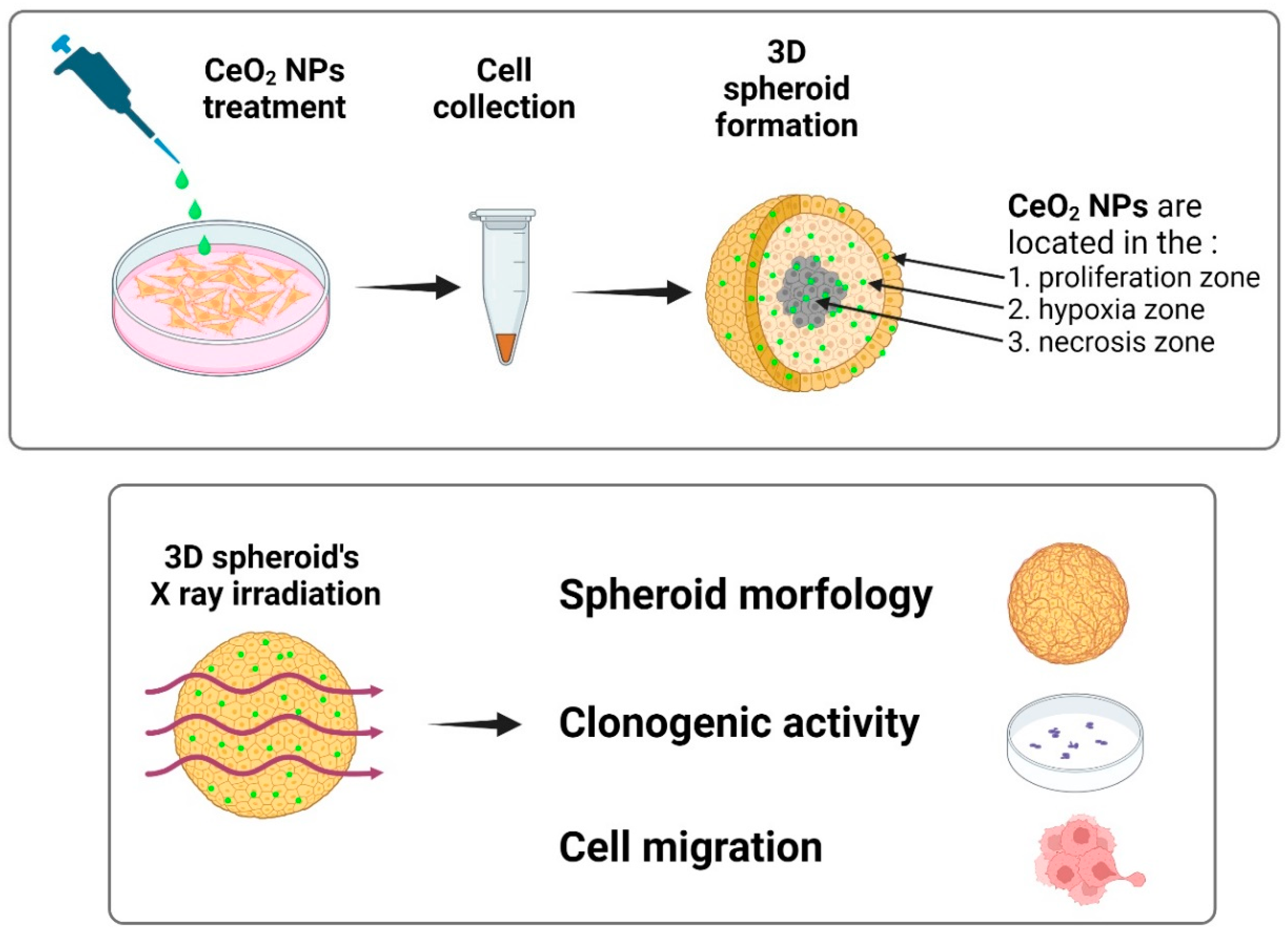 Preprints 146370 g003
