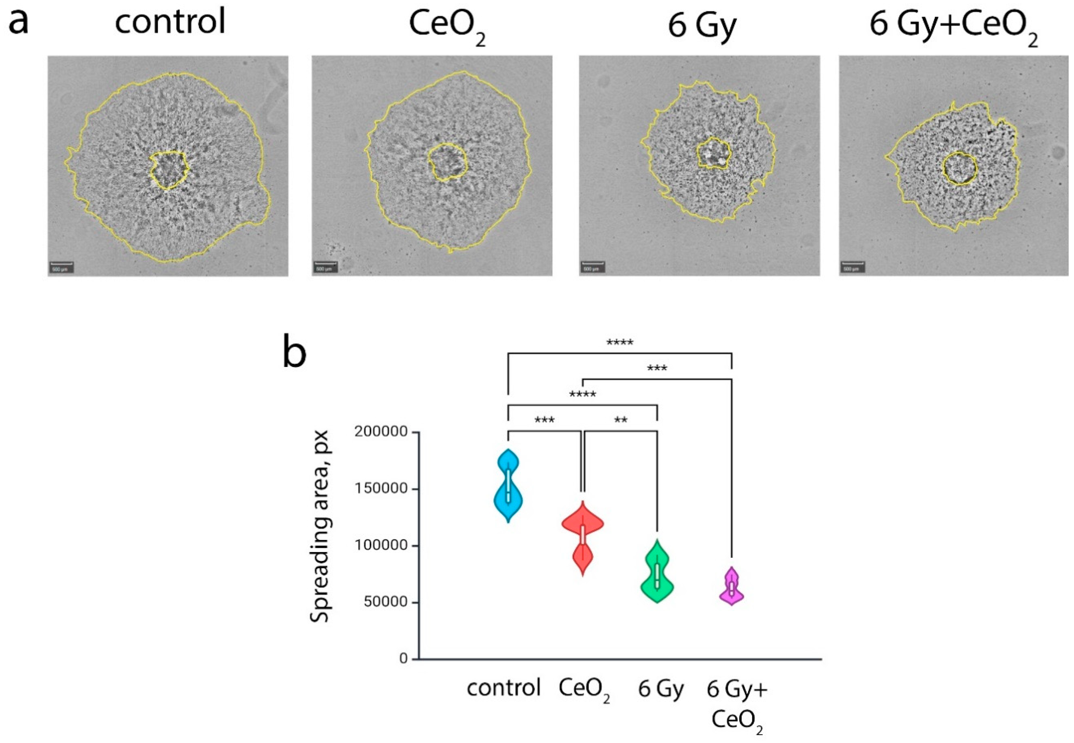 Preprints 146370 g004