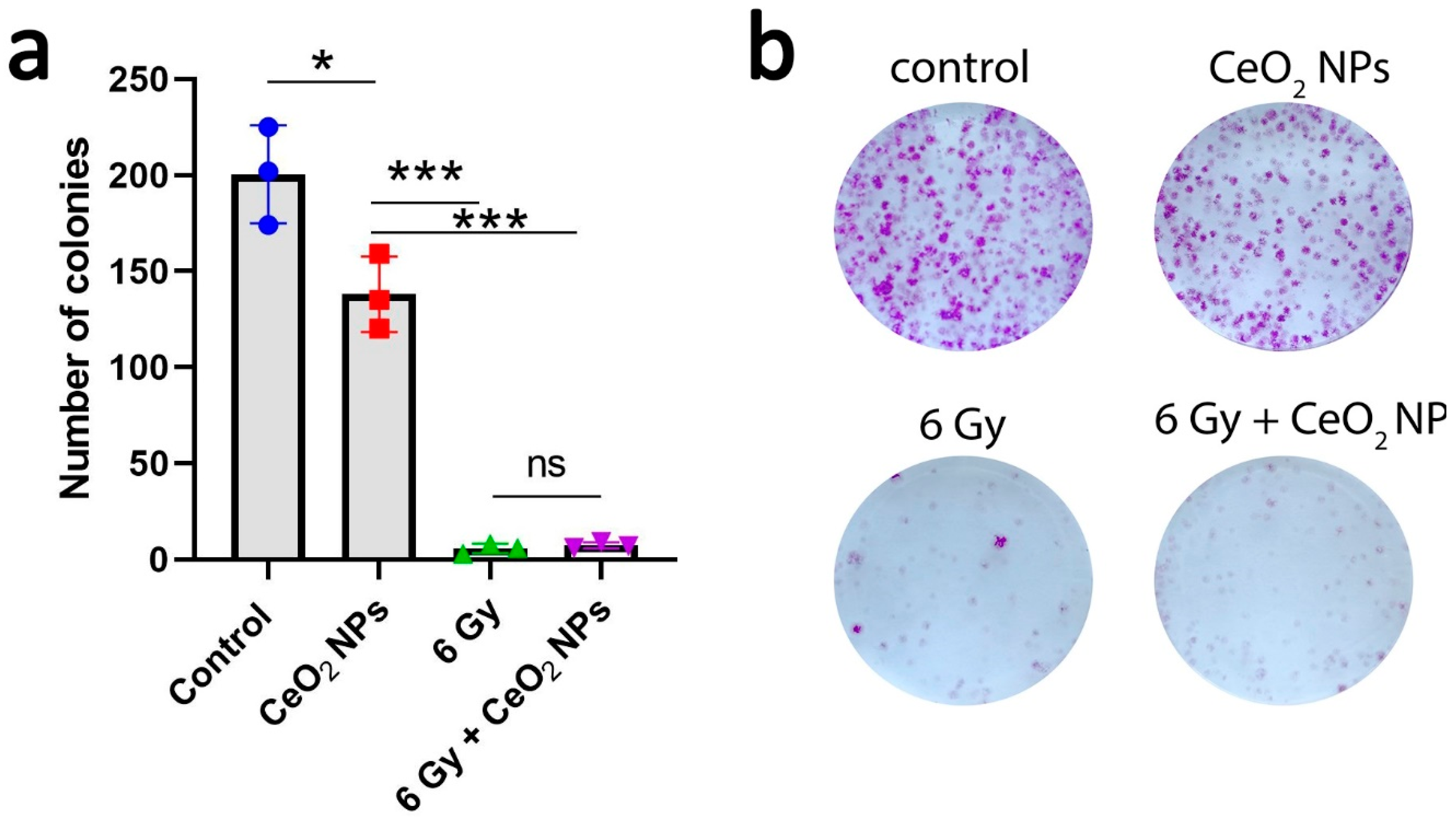 Preprints 146370 g005
