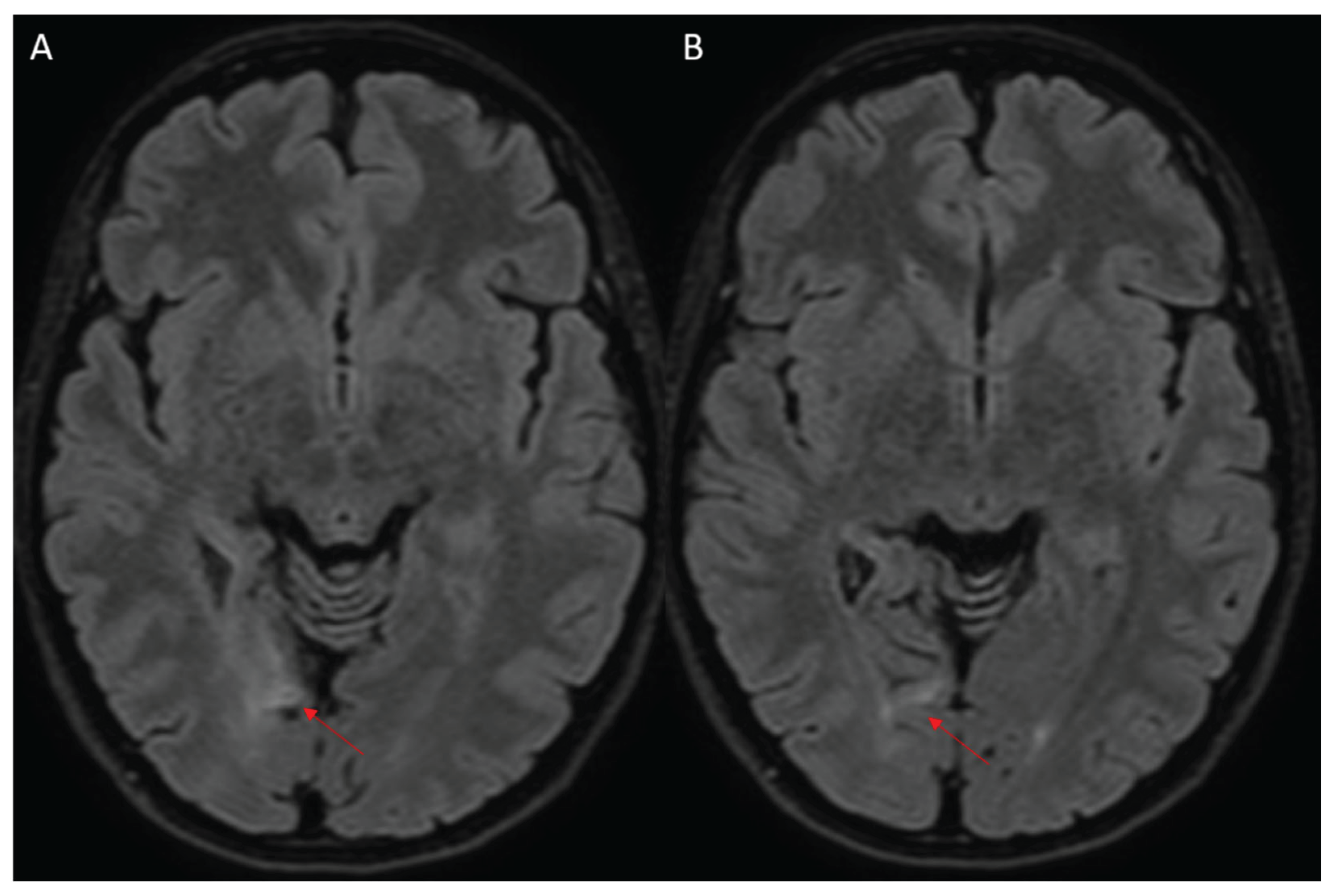 Preprints 164868 g001