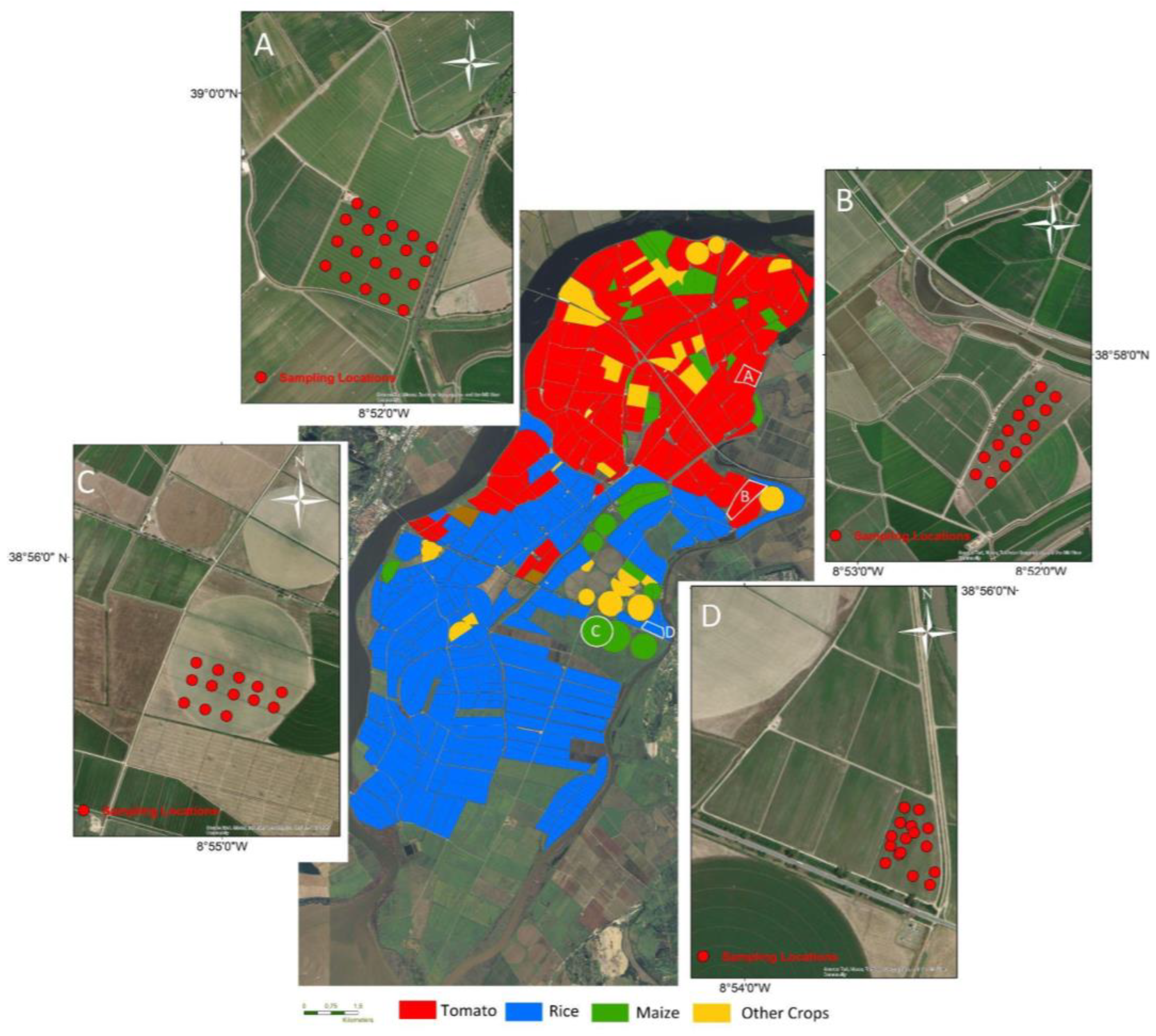 Preprints 159218 g002