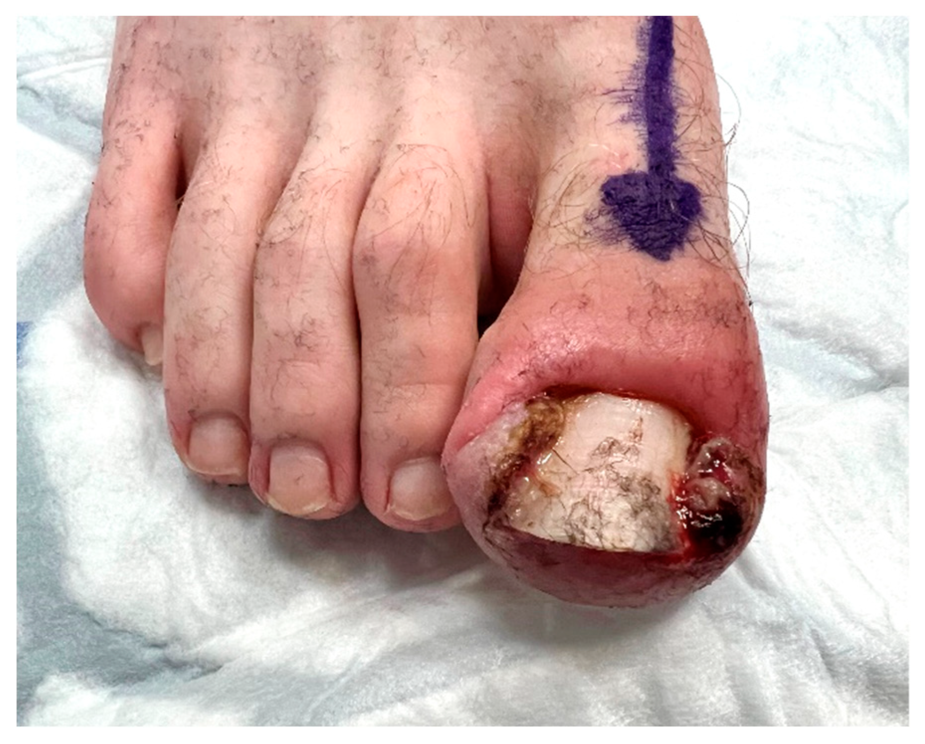 Preprints 72292 g001