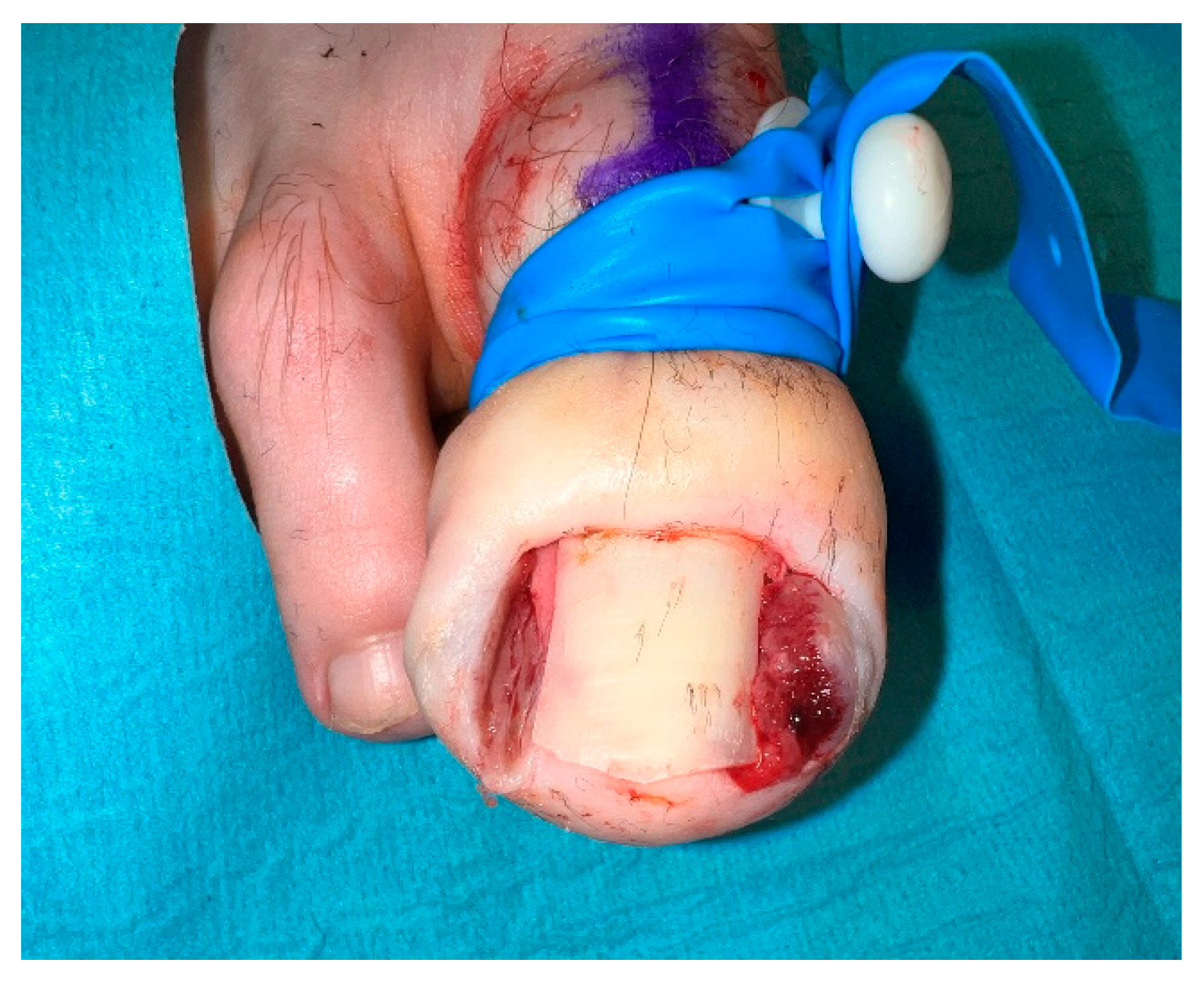 Preprints 72292 g002