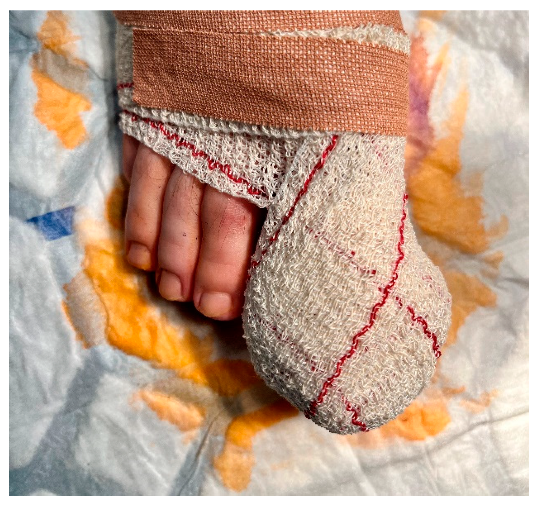 Preprints 72292 g004