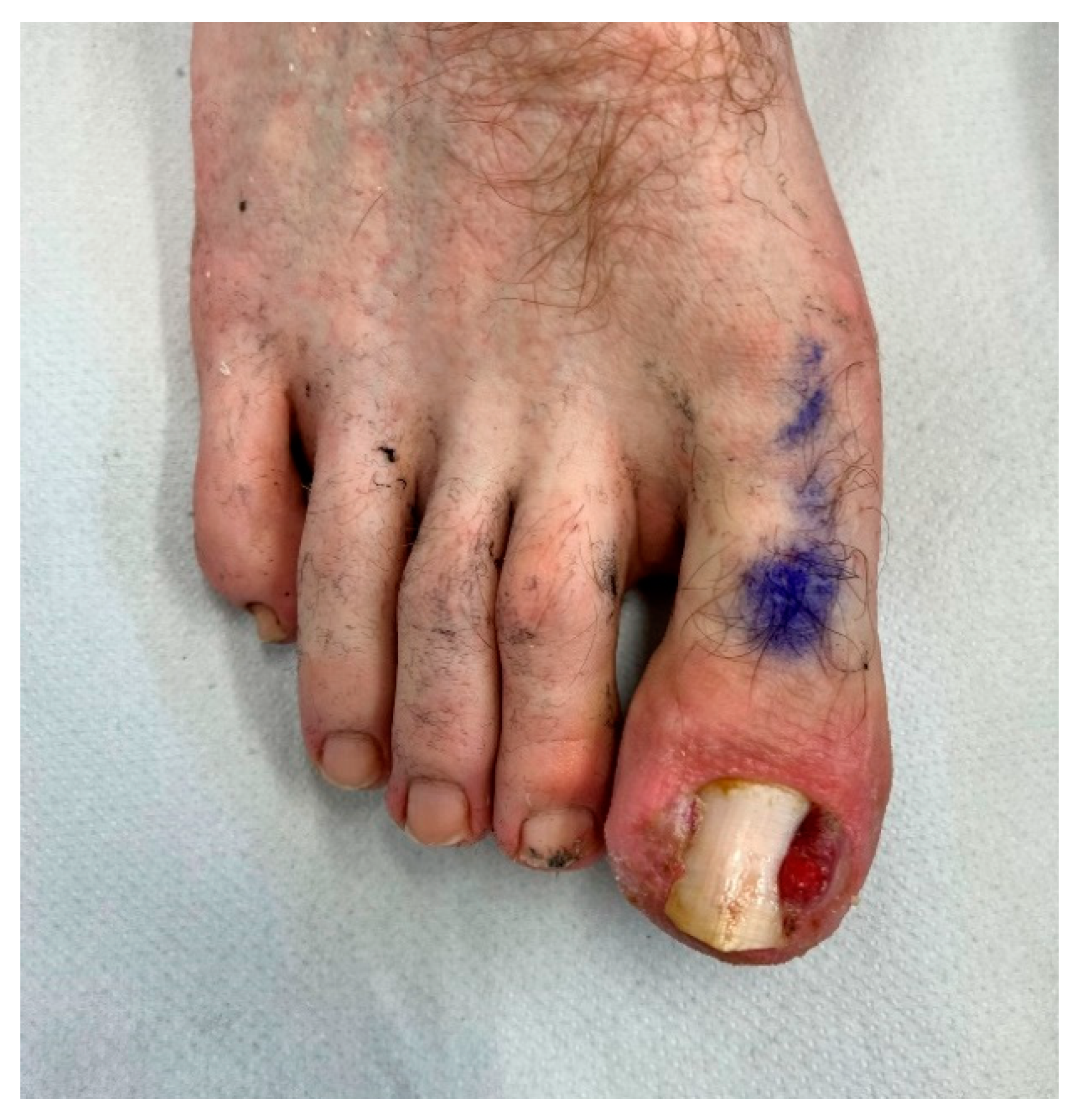 Preprints 72292 g005