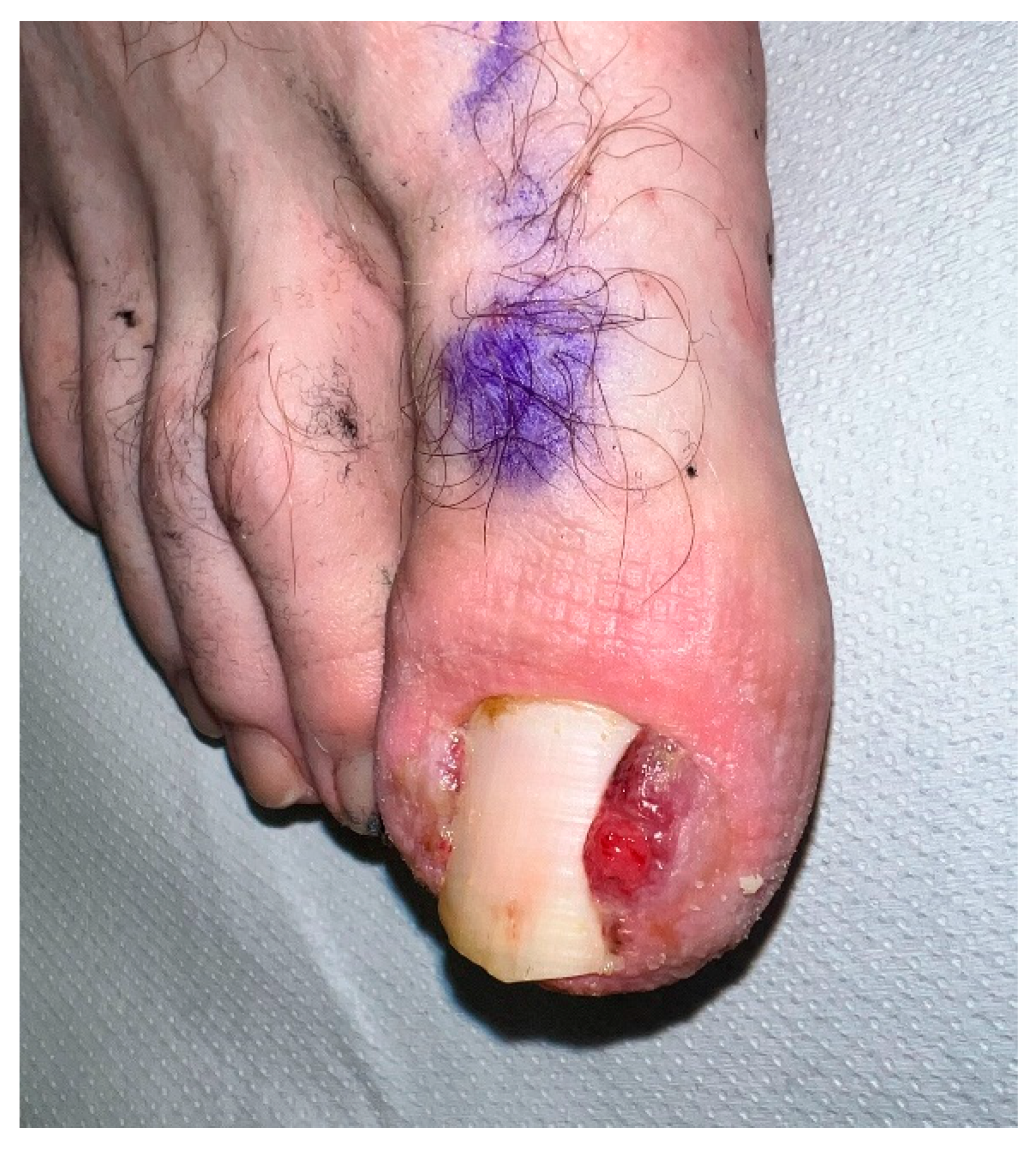 Preprints 72292 g006