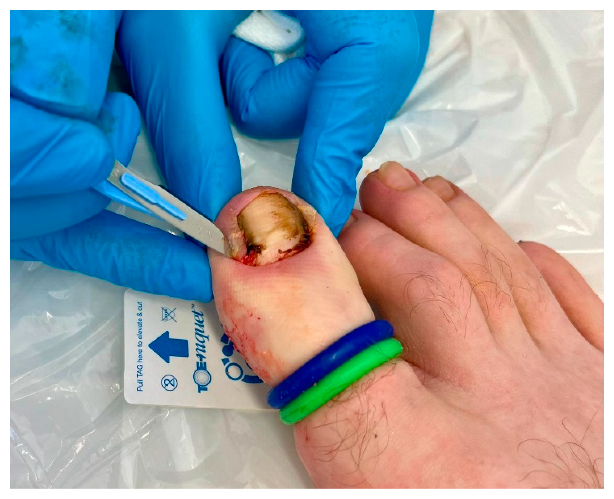 Preprints 72292 g008