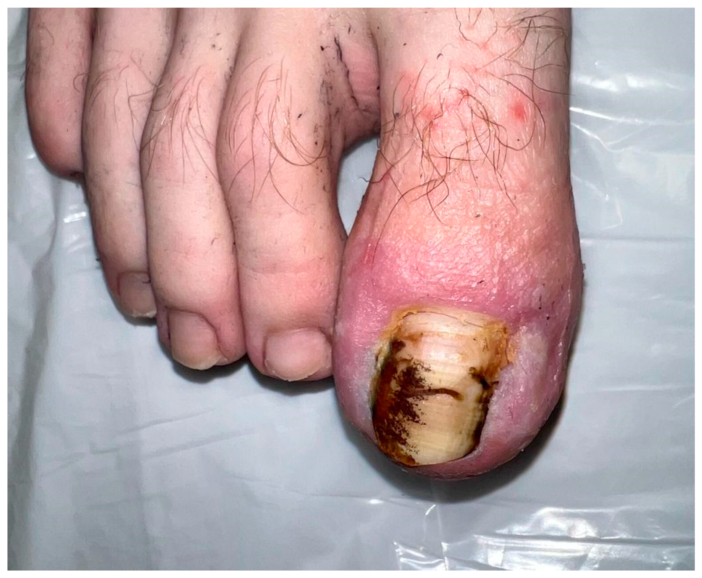 Preprints 72292 g010