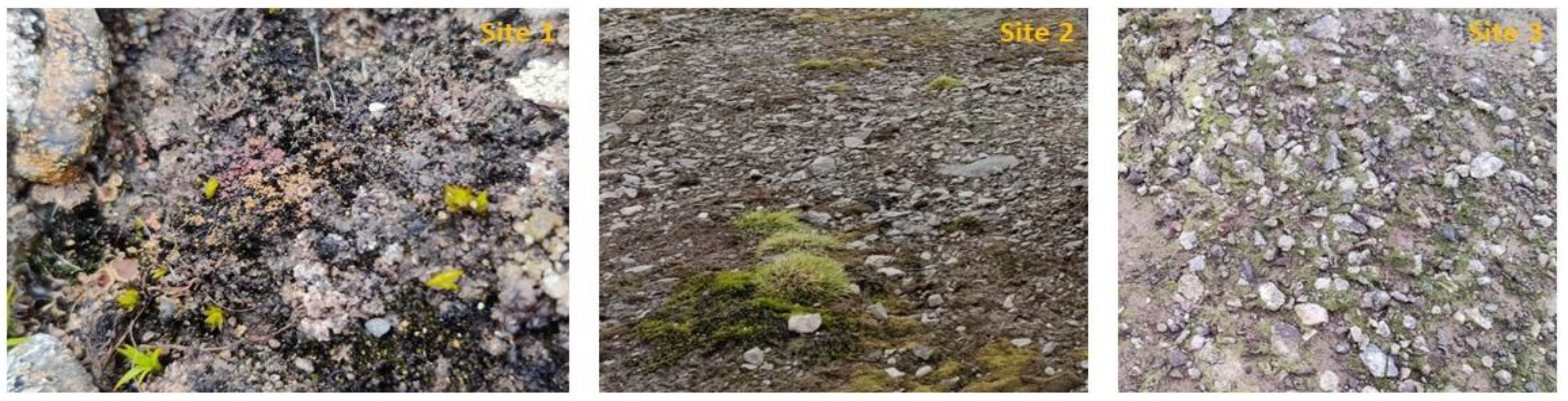 Preprints 165107 g001