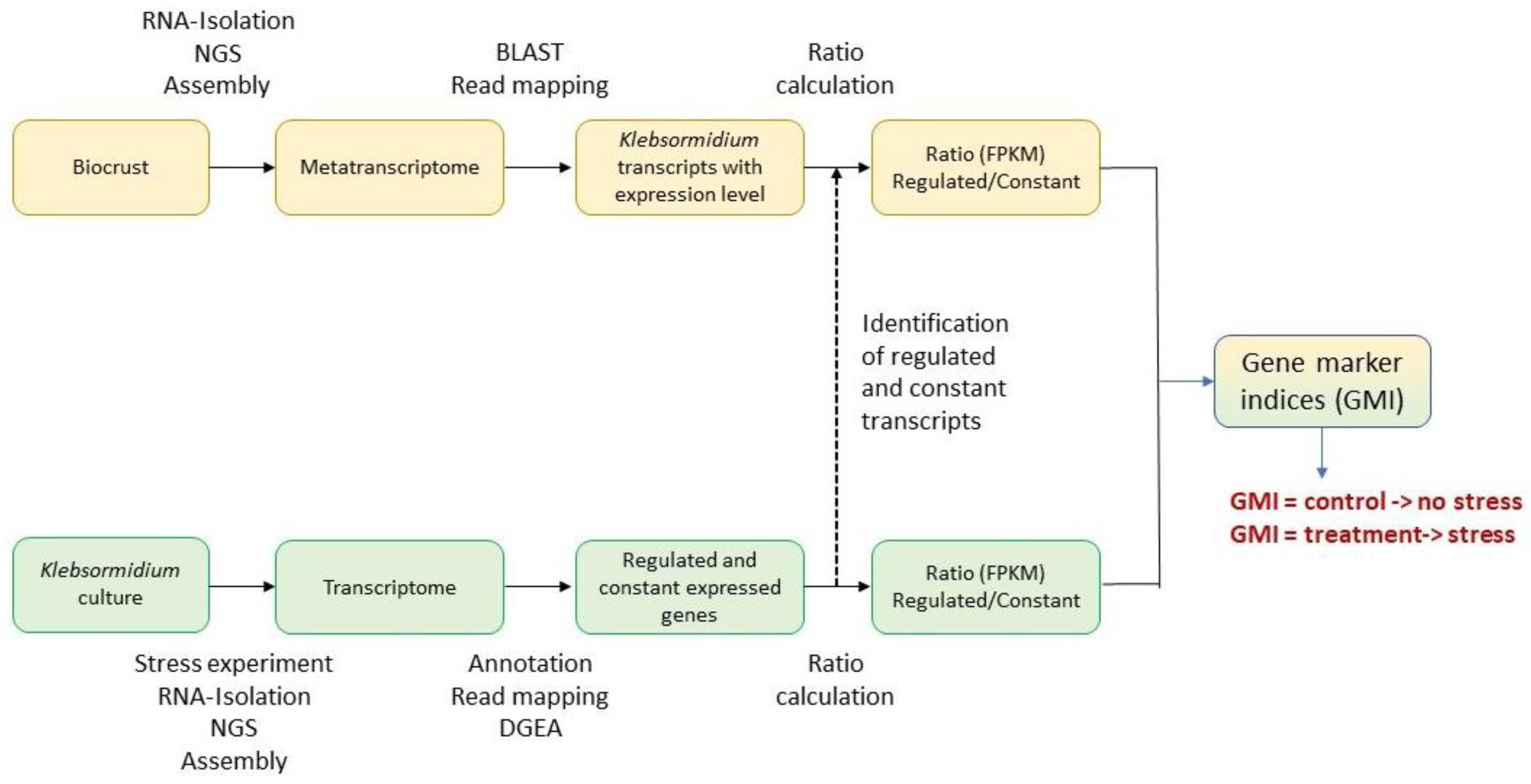 Preprints 165107 g002