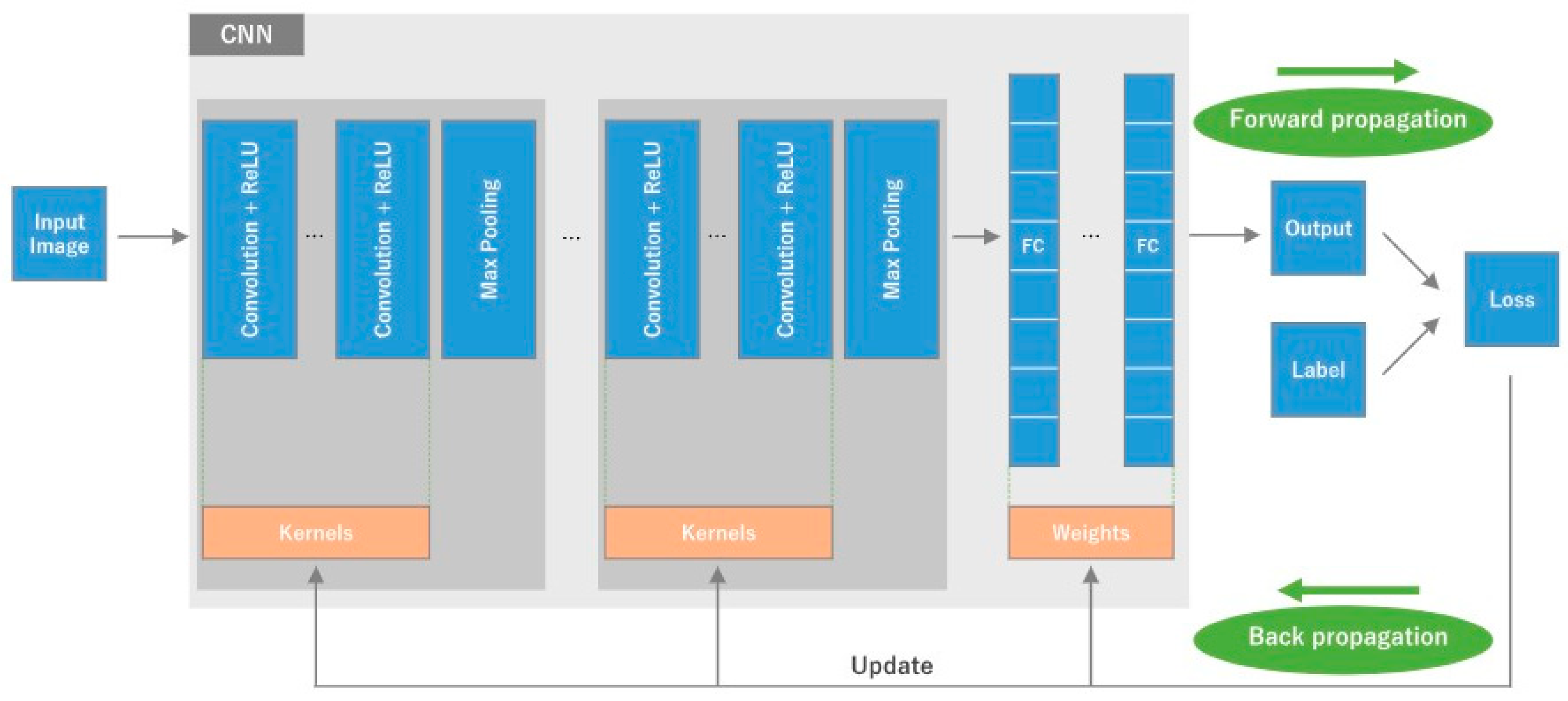 Preprints 153112 g004