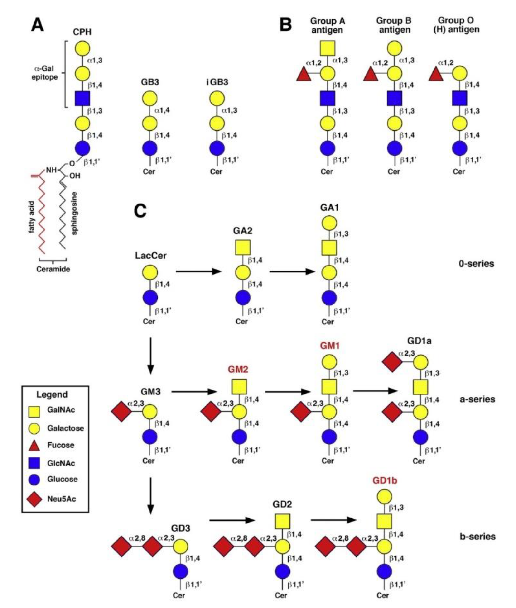 Preprints 166933 g003